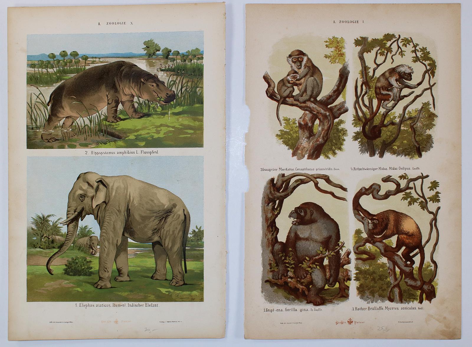 Arts aus moyen age, Les. | Bild Nr.7