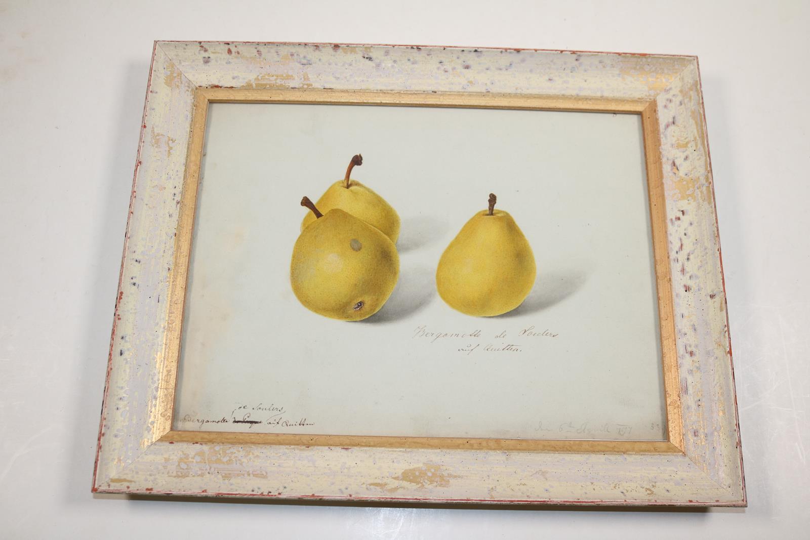 Blaschek,Franz. (1787-1868). | Bild Nr.13