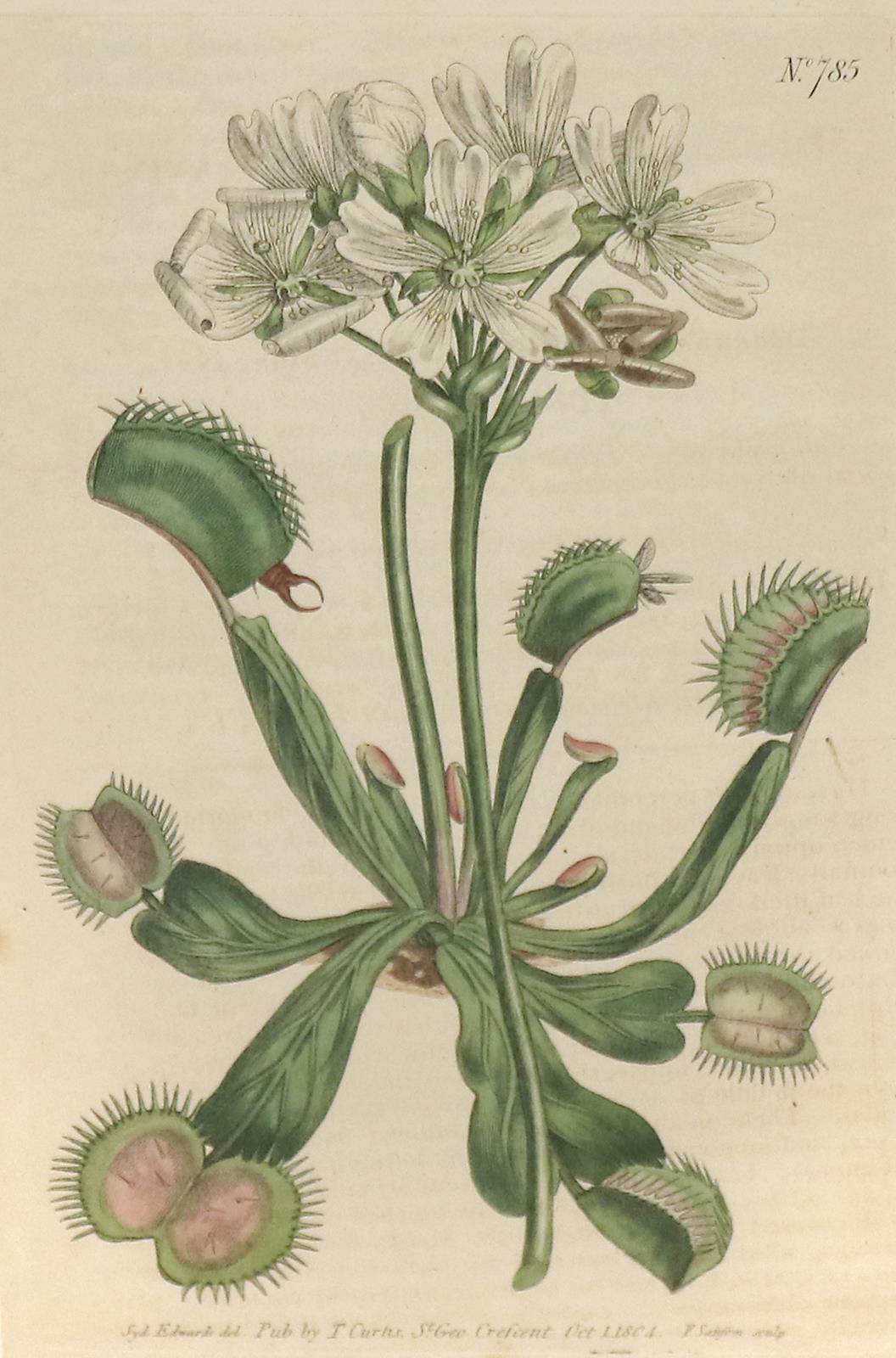 Sammlung | Bild Nr.1