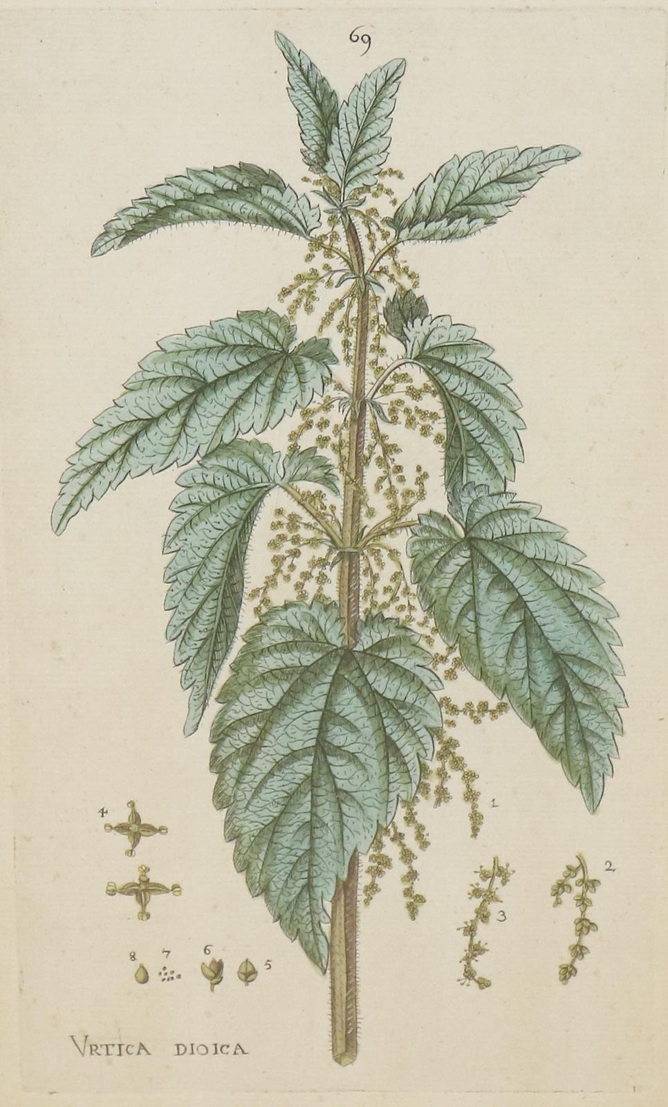 Sammlung | Bild Nr.3