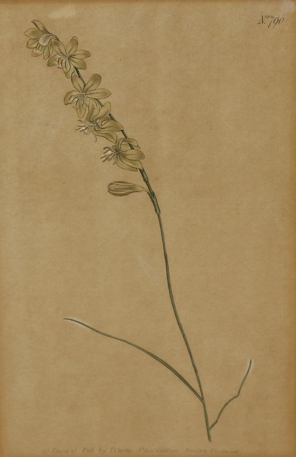 Sammlung | Bild Nr.4