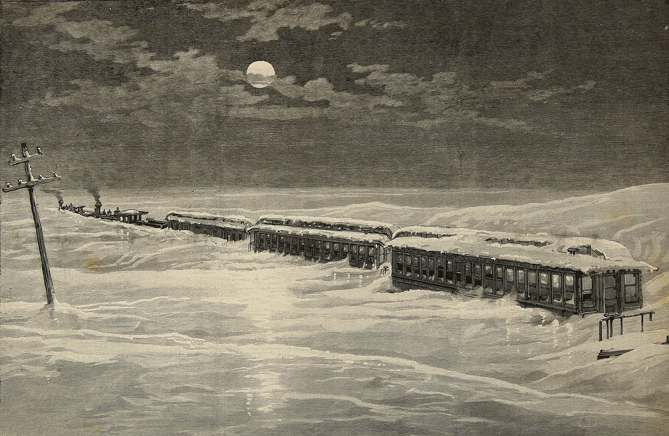 Sammlung | Bild Nr.8