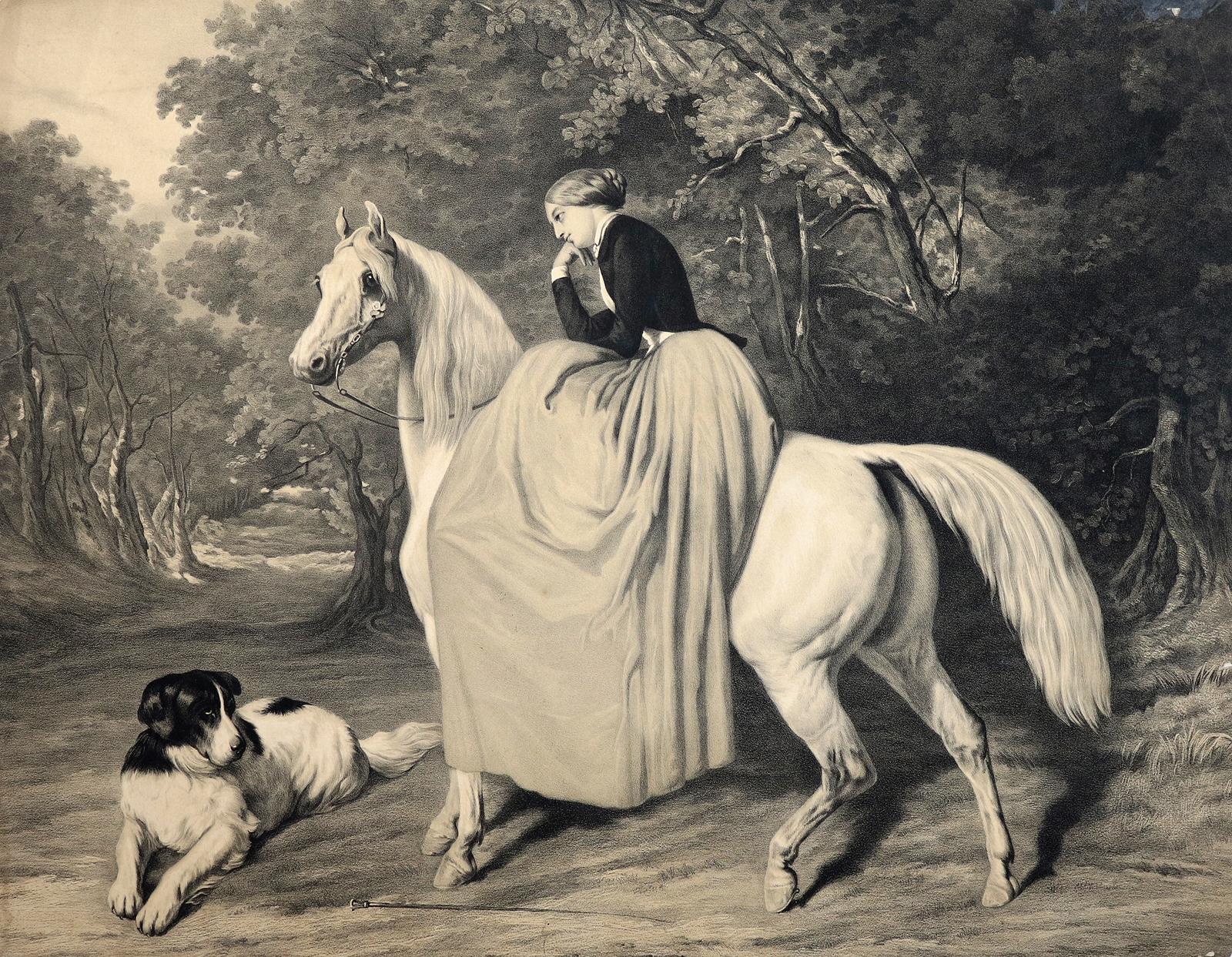 Konvolut | Bild Nr.1