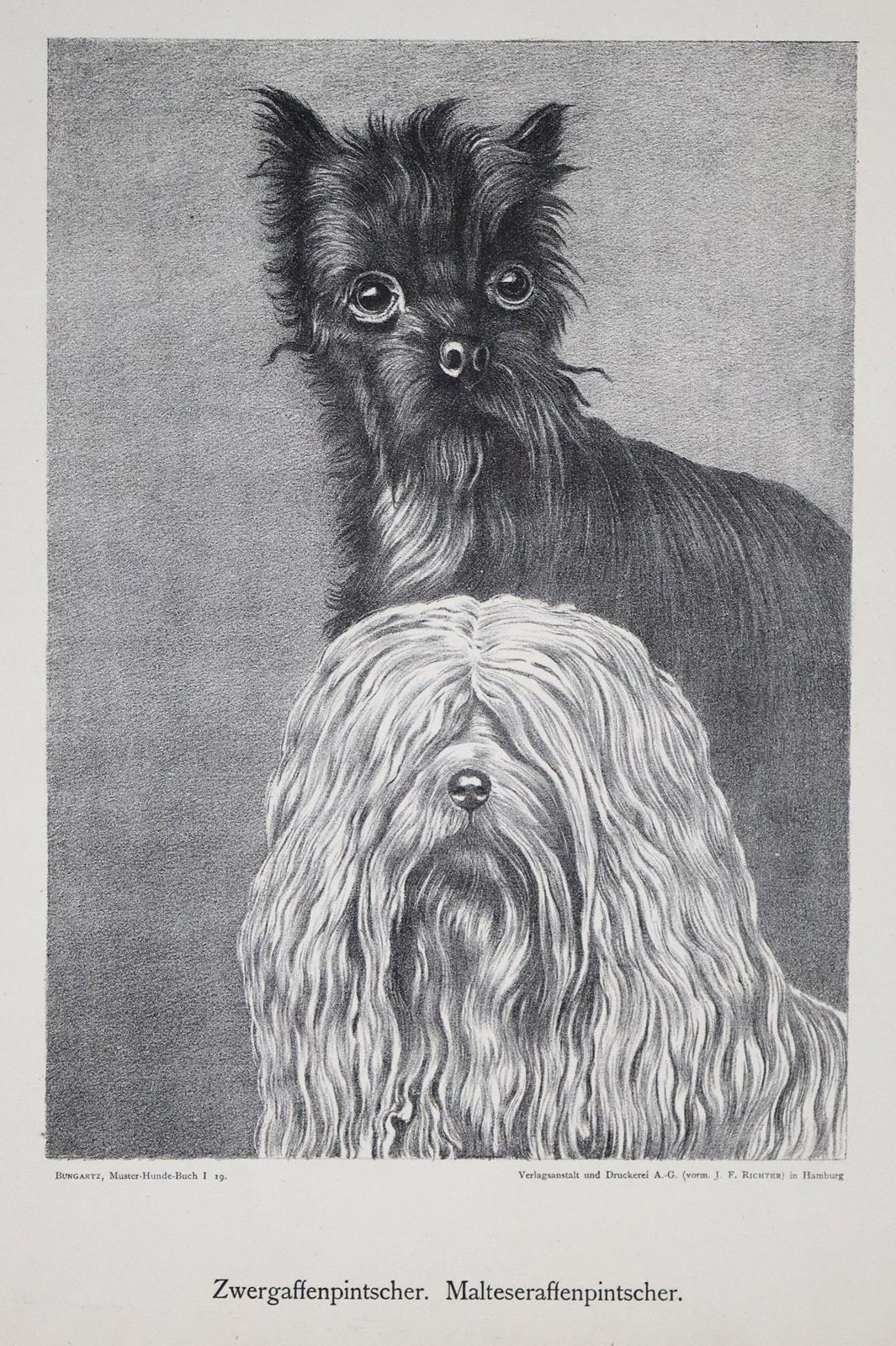 Konvolut | Bild Nr.2