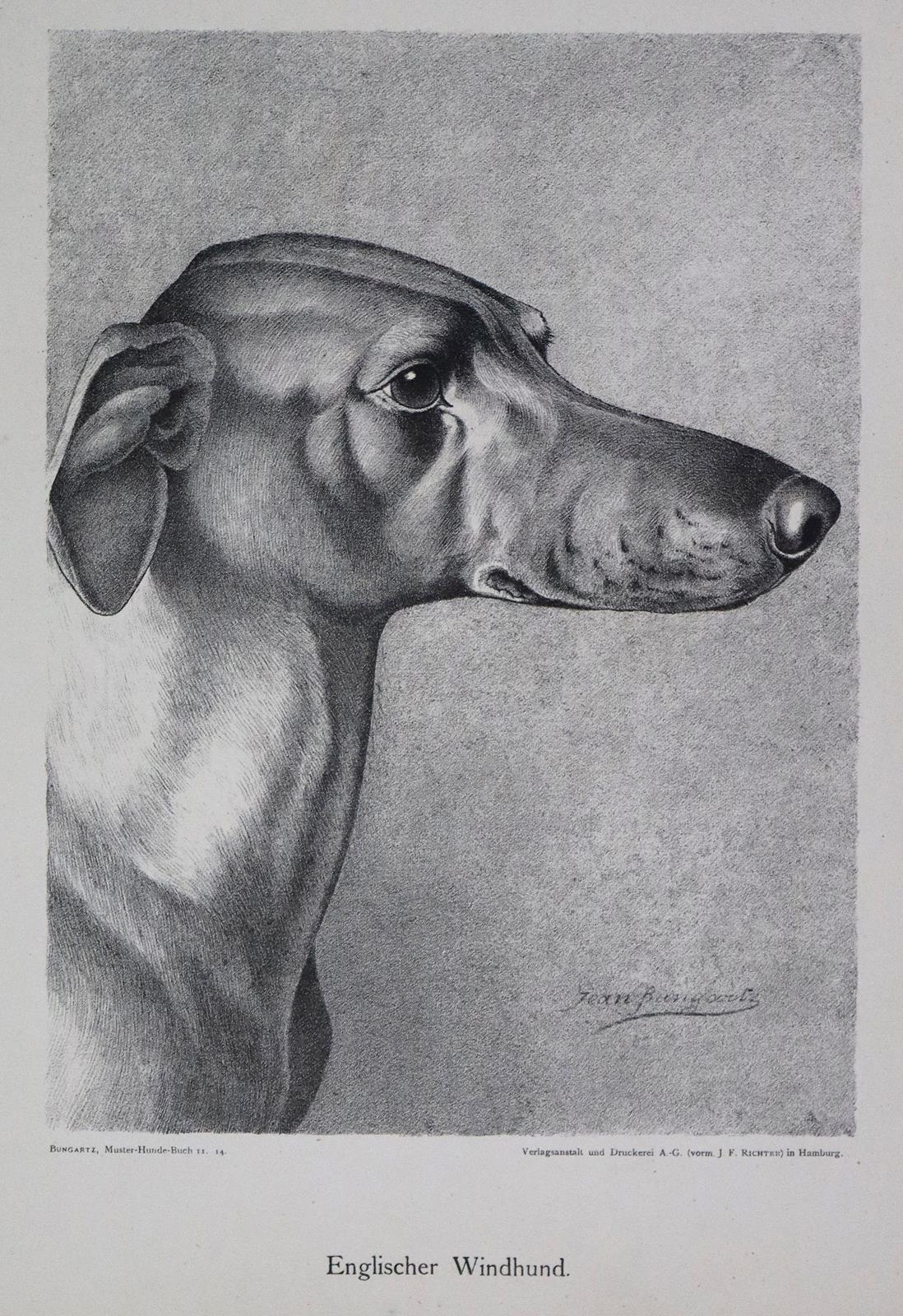 Konvolut | Bild Nr.3