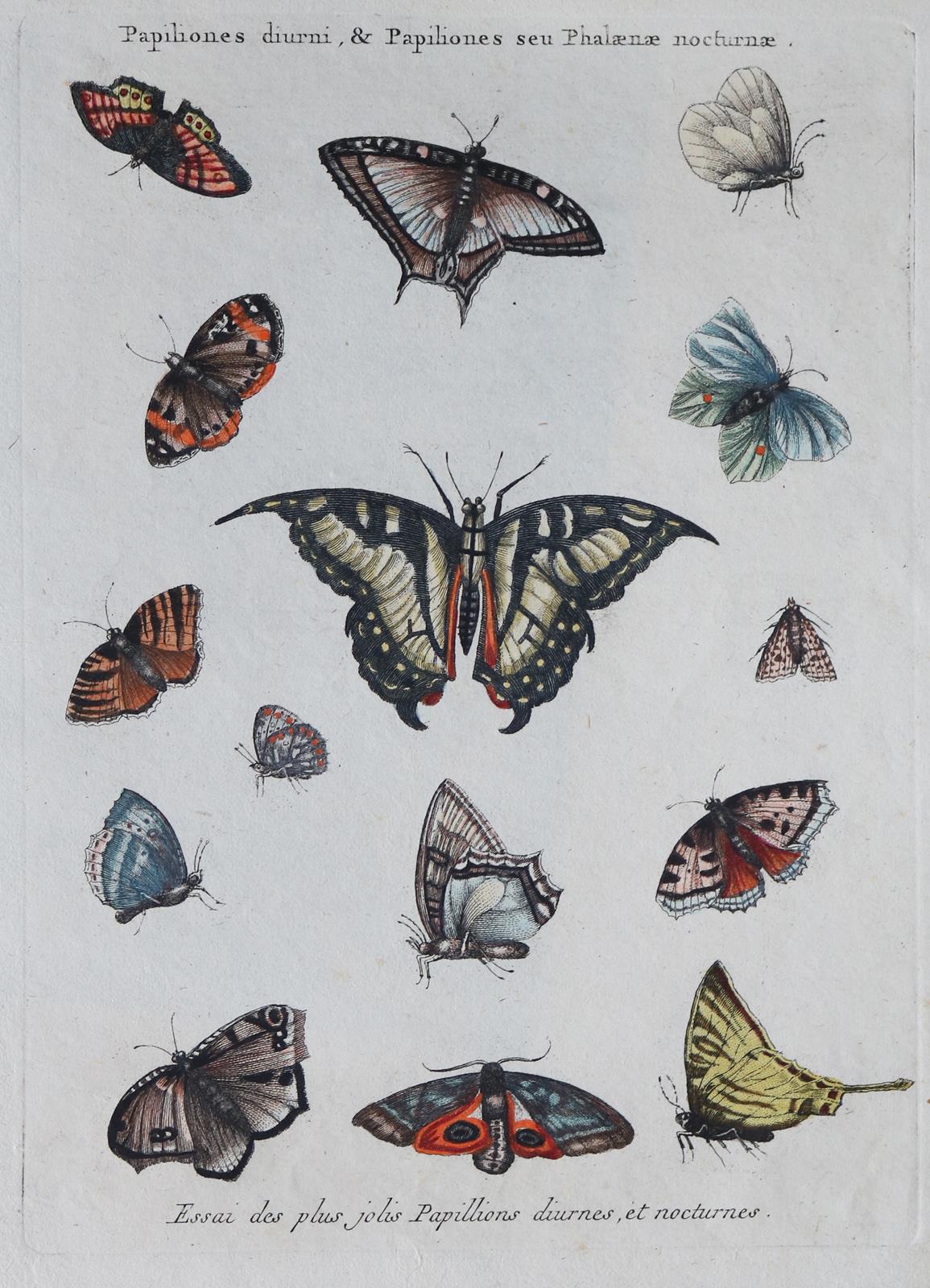 Konvolut | Bild Nr.2