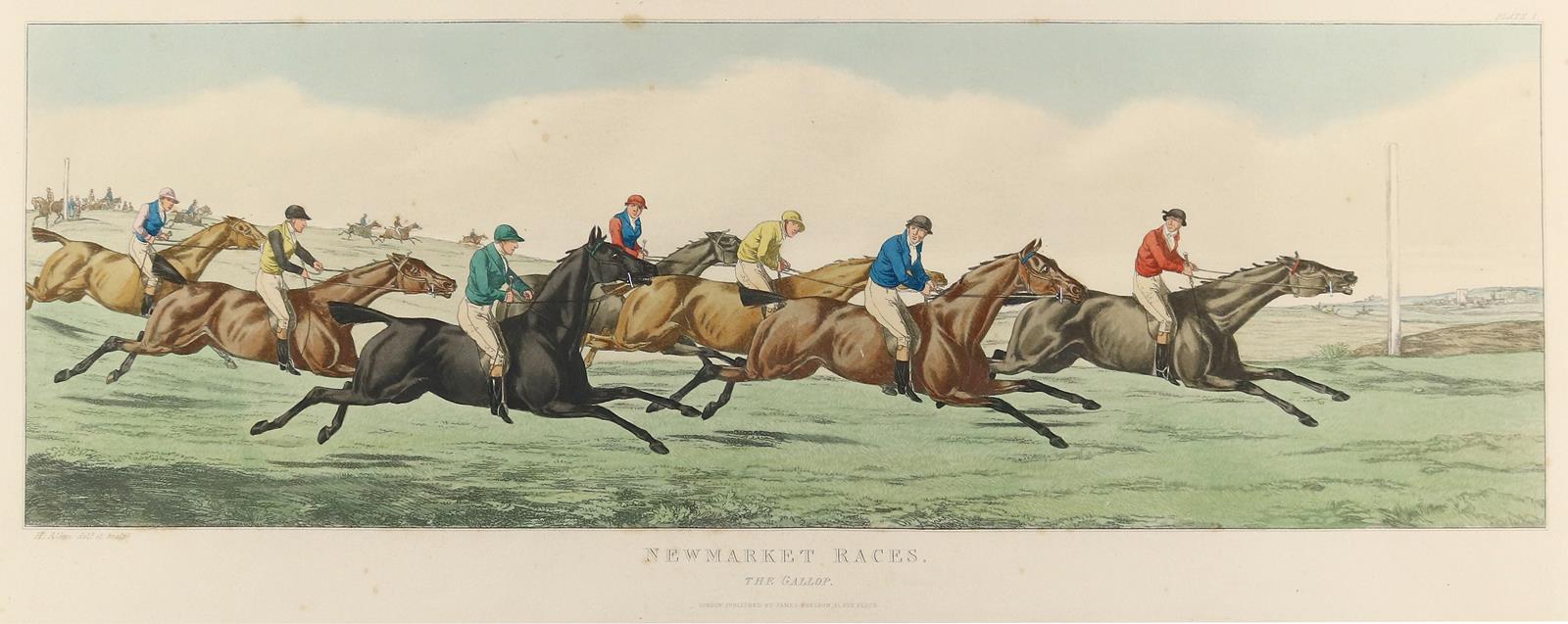 Newmarket Races. | Bild Nr.1