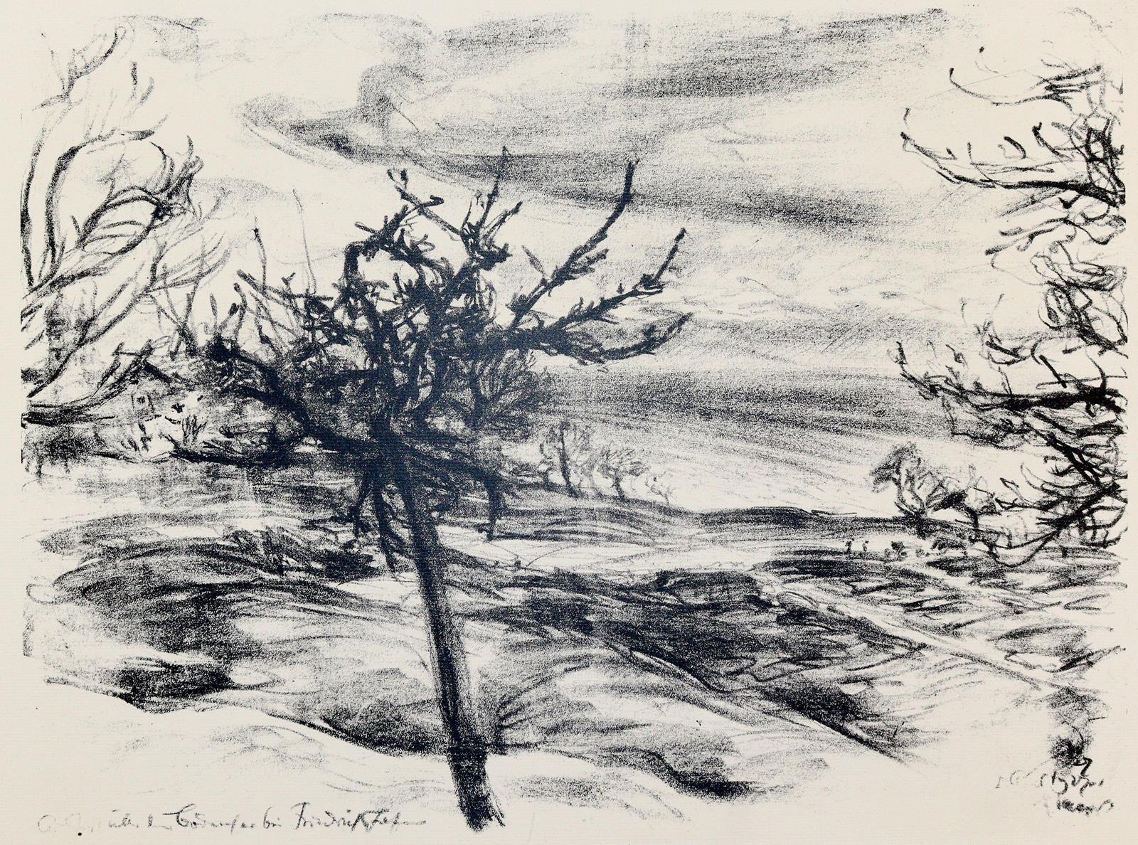 Friedrichshafen. | Bild Nr.2