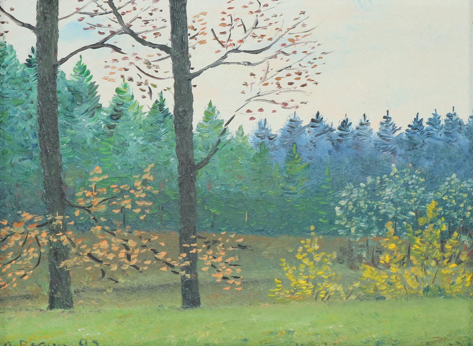 Braun, Adolf | Bild Nr.4