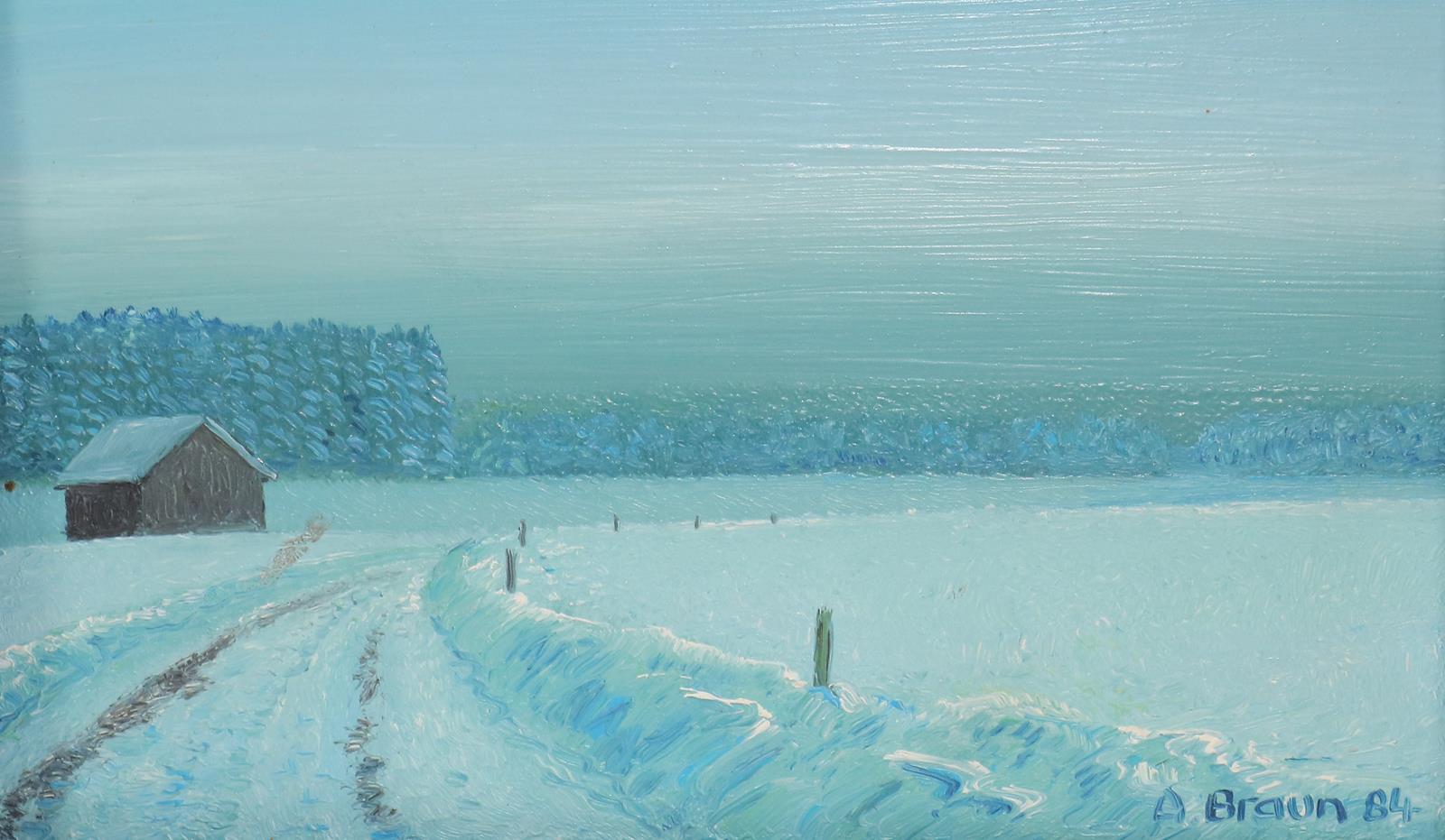 Braun, Adolf | Bild Nr.5