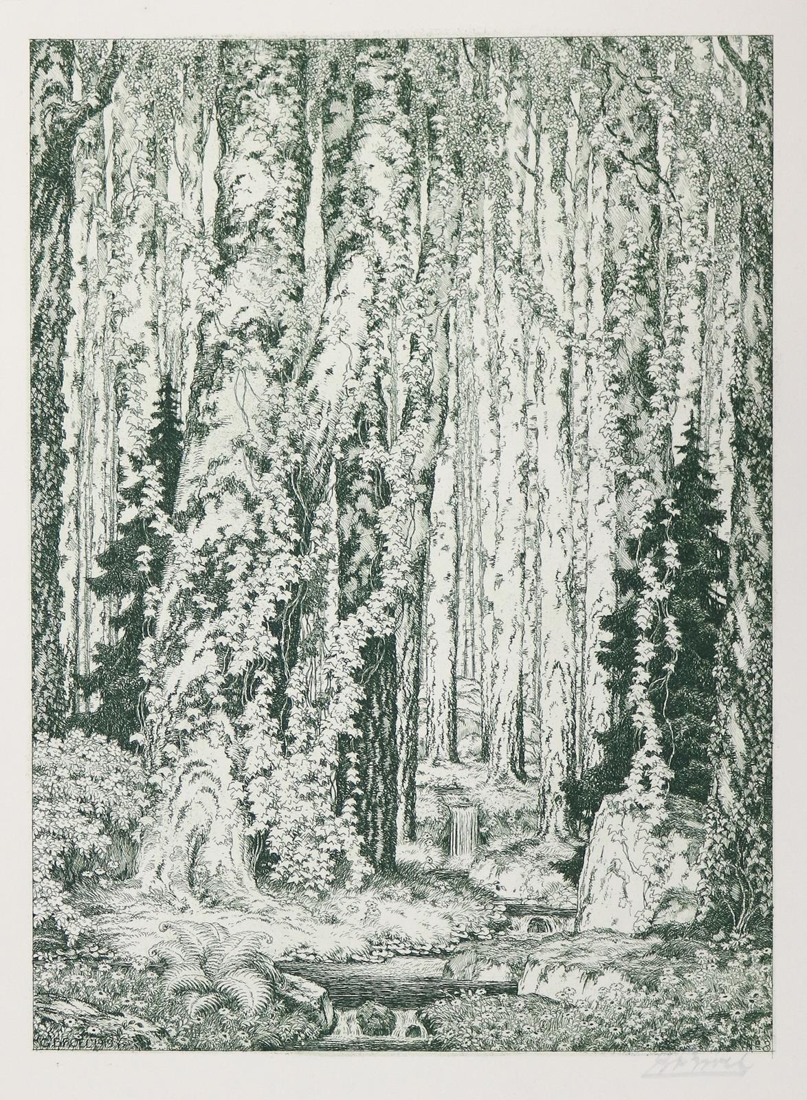 Broel,G. | Bild Nr.1