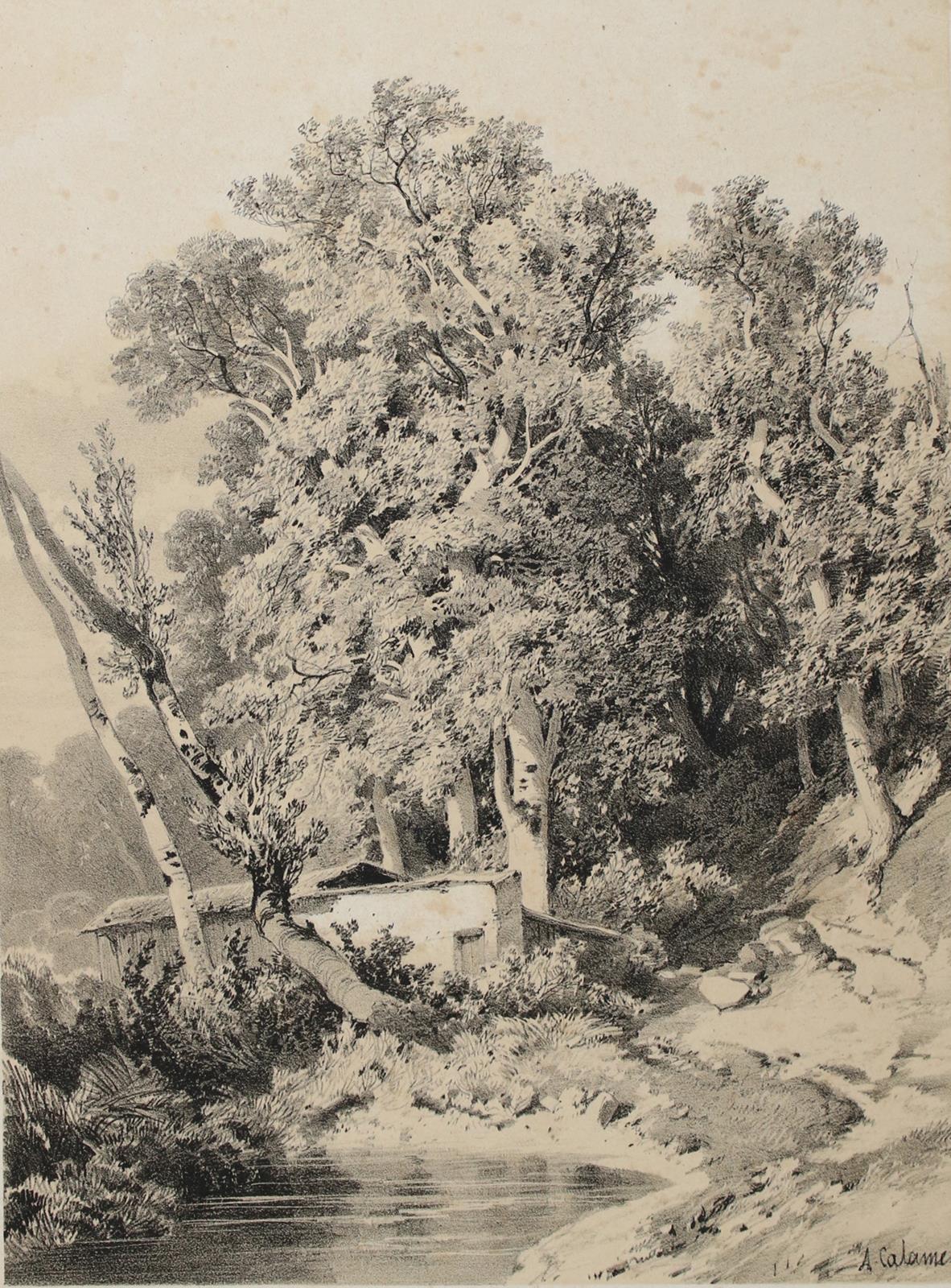 Calame, Alexandre | Bild Nr.1