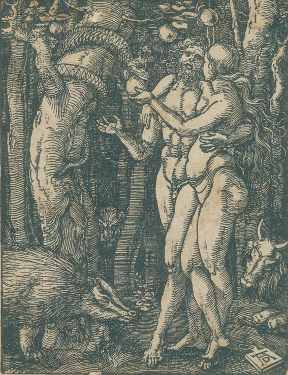 Dürer, Albrecht | Bild Nr.1