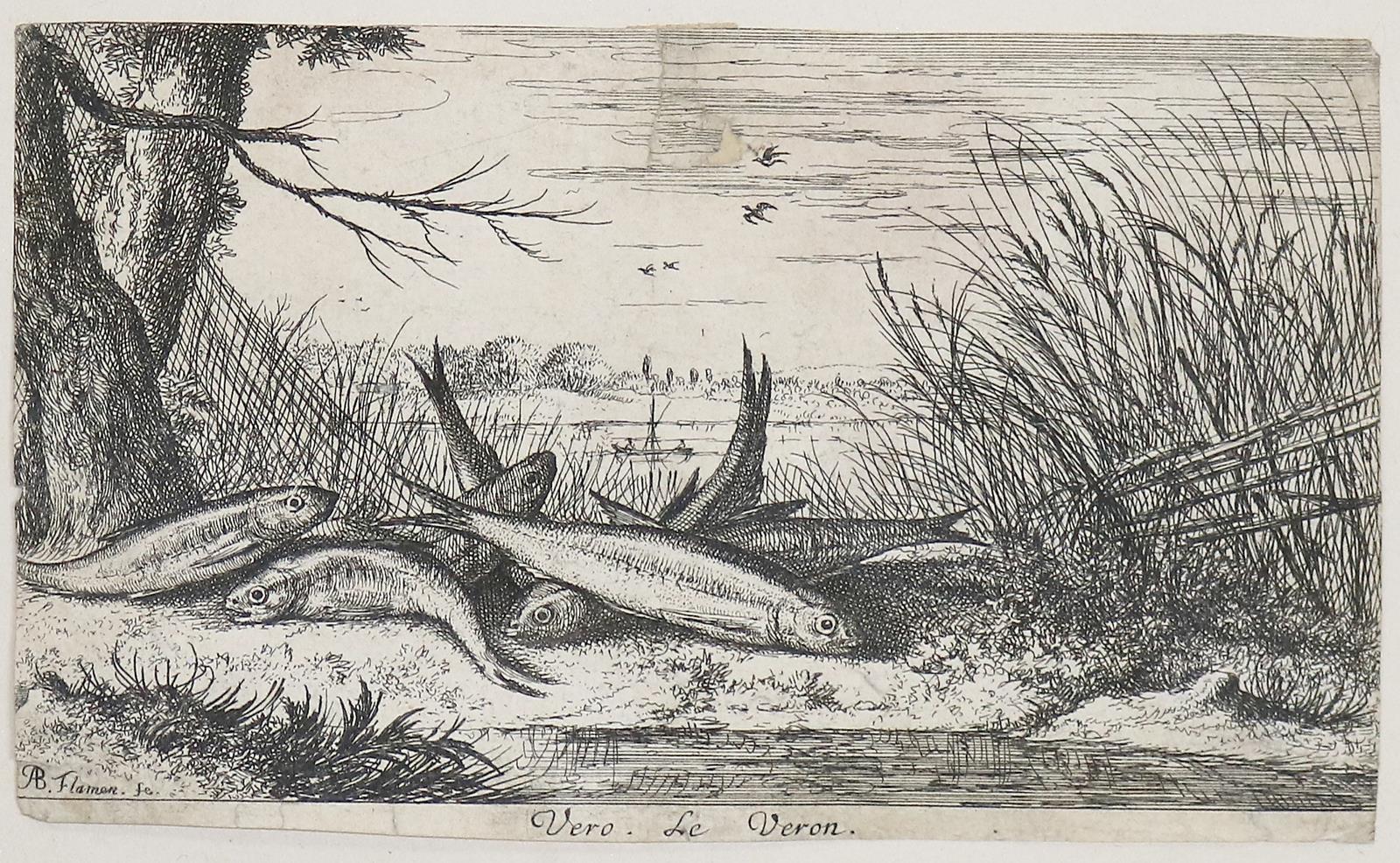 Flamen,Albert | Bild Nr.2