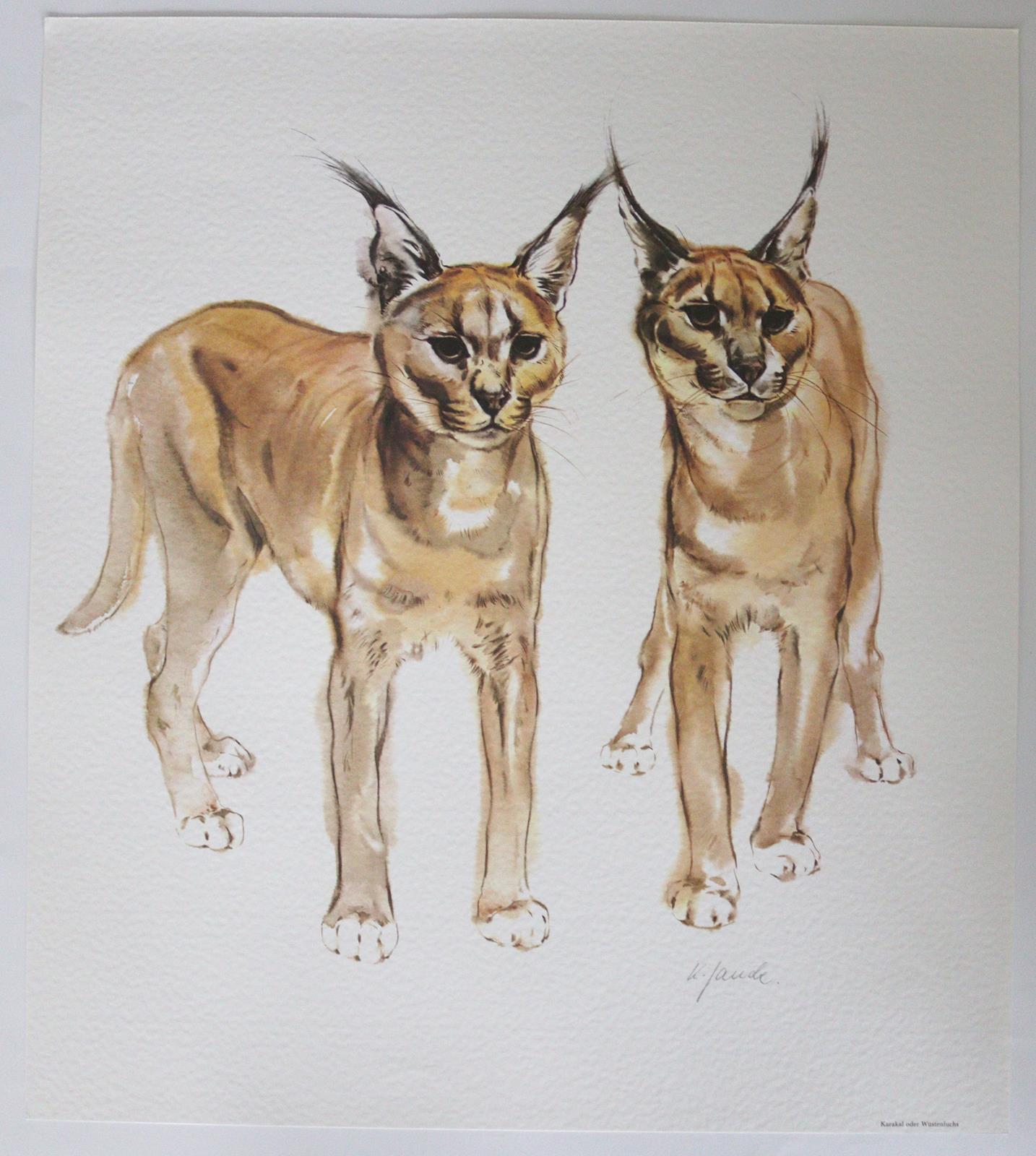 Graphiksammlung. | Bild Nr.2