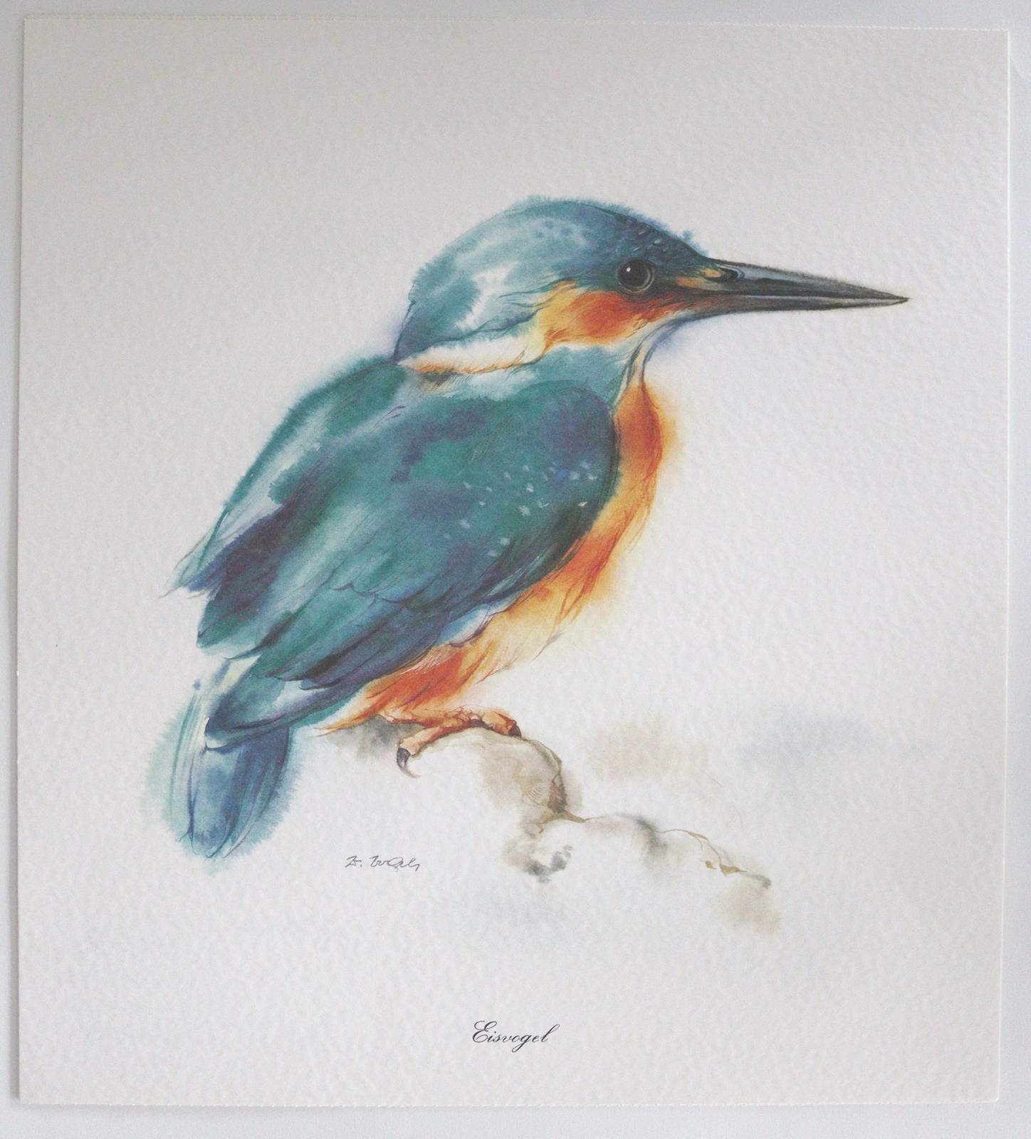 Graphiksammlung. | Bild Nr.5