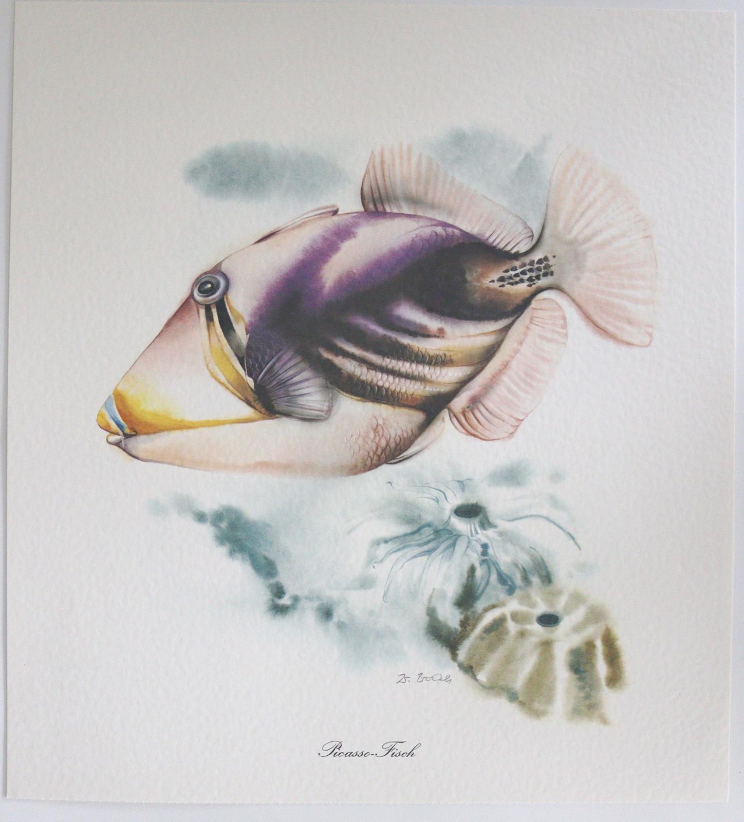 Graphiksammlung. | Bild Nr.6