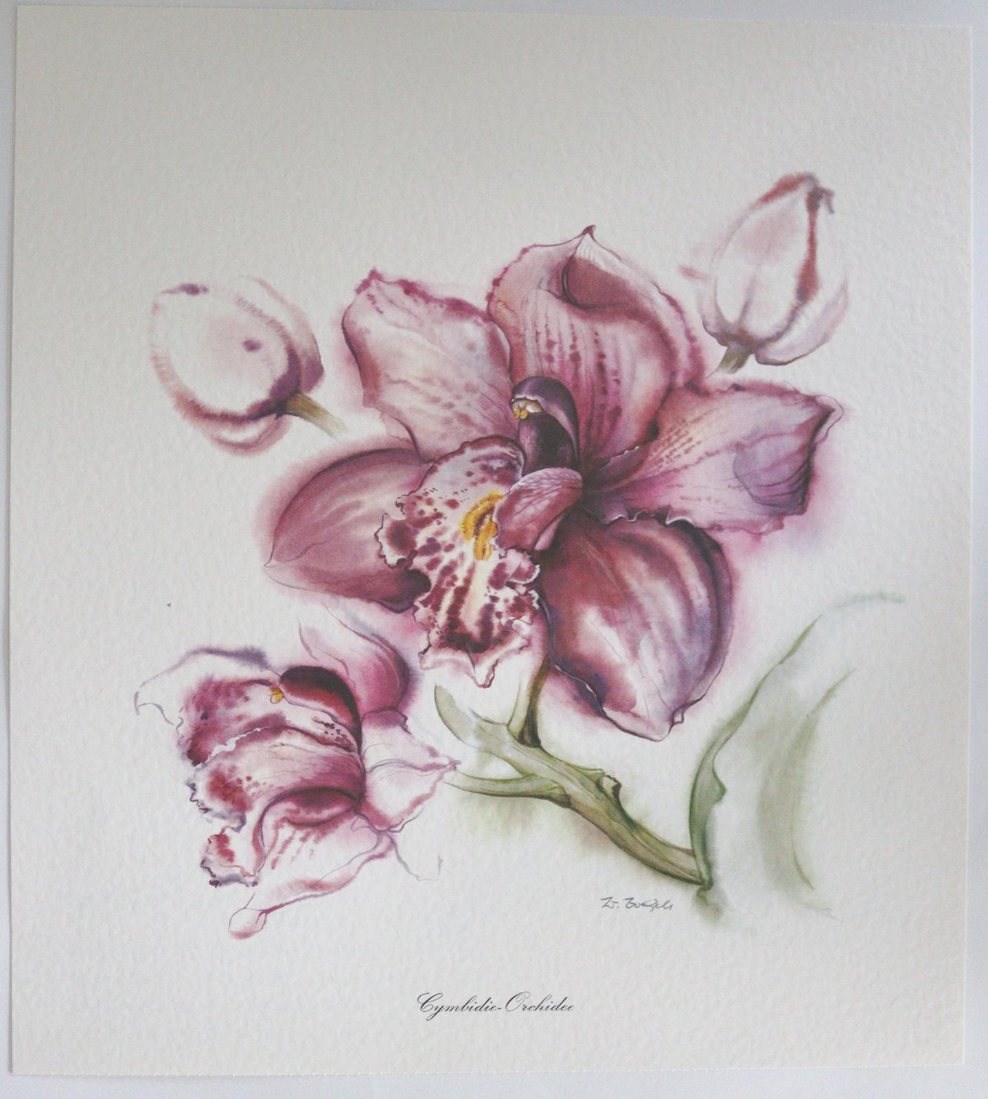 Graphiksammlung. | Bild Nr.7