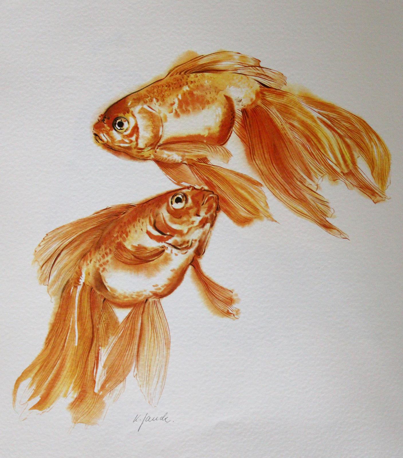 Graphiksammlung. | Bild Nr.19