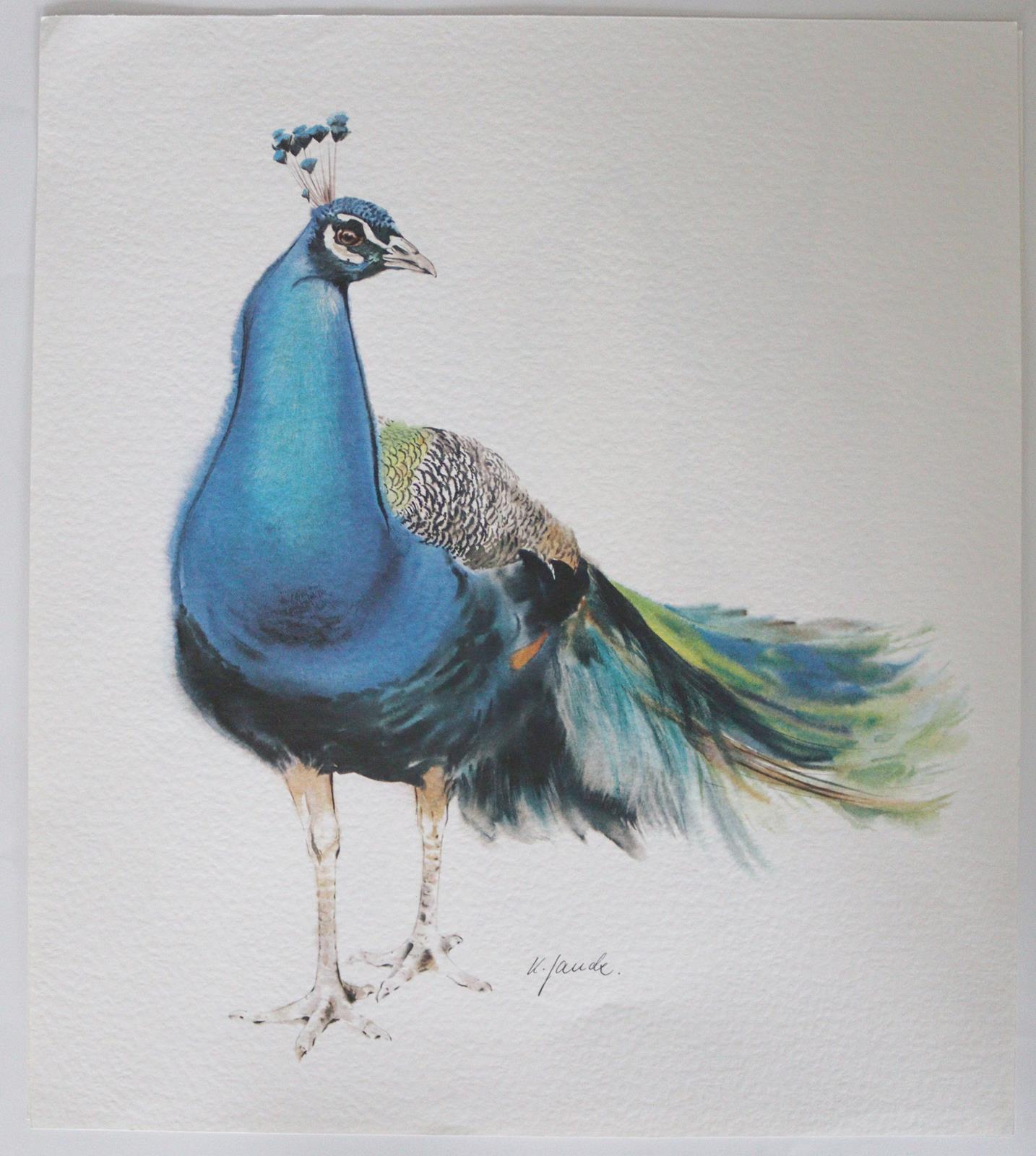 Graphiksammlung. | Bild Nr.20