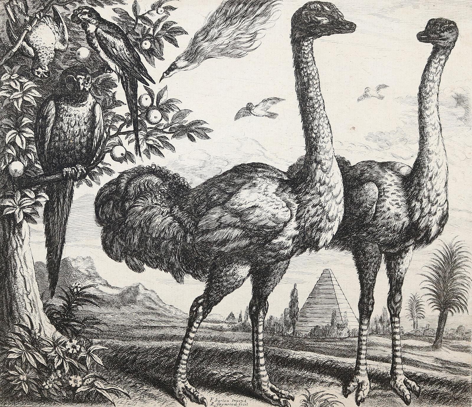 Hollar, Wenzel | Bild Nr.1