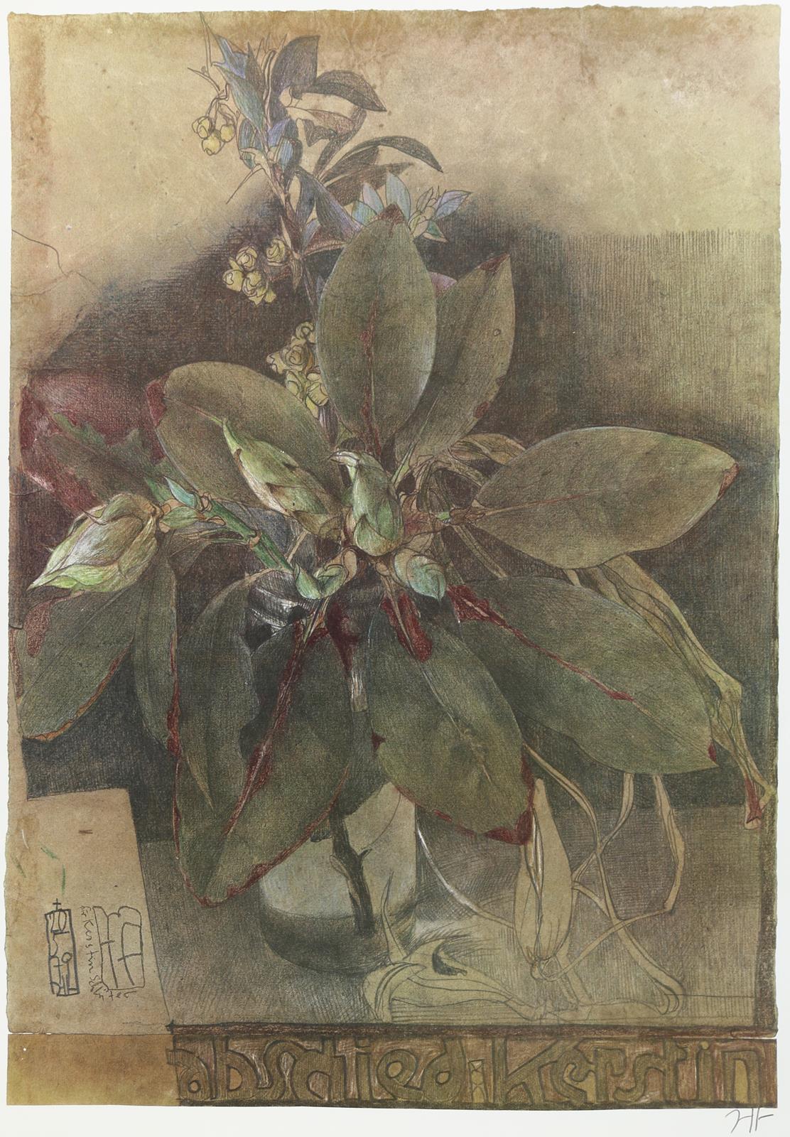 Janssen, Horst | Bild Nr.2