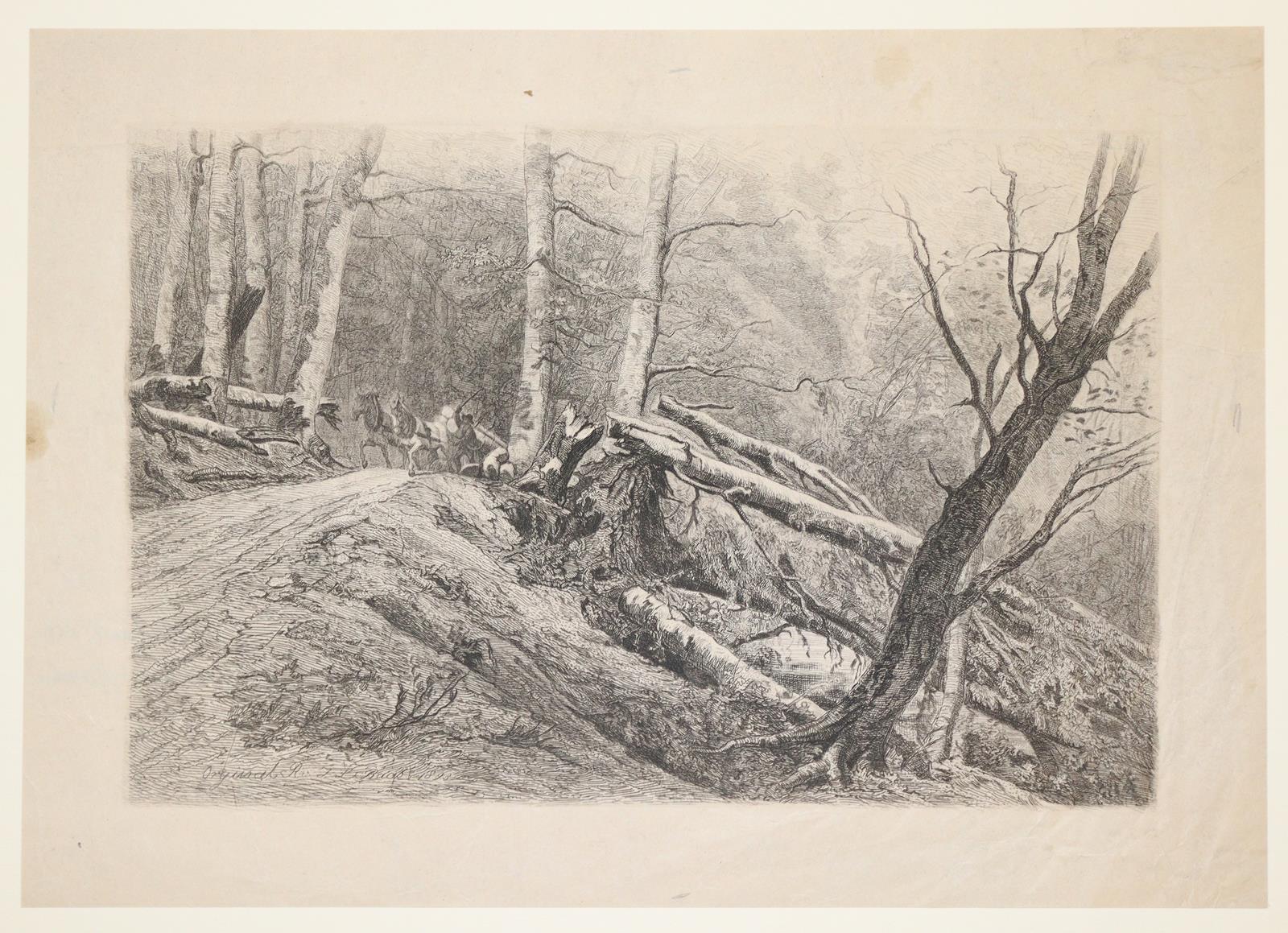 Konvolut | Bild Nr.11