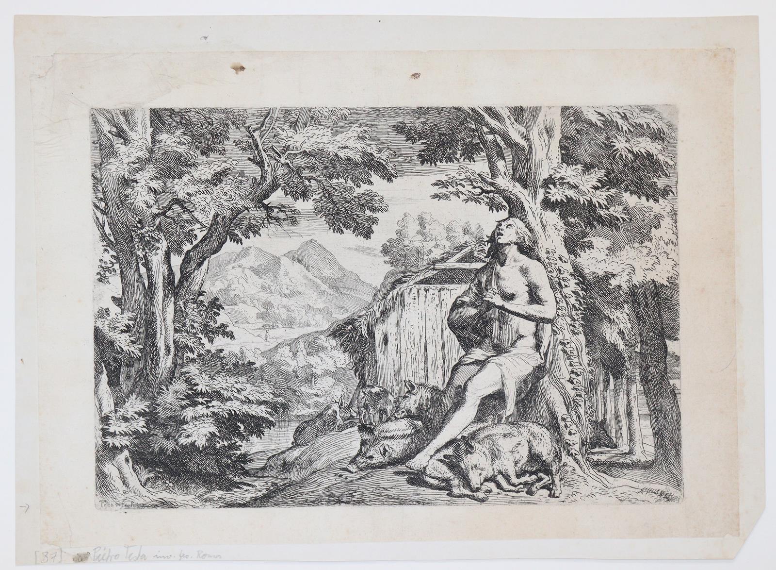 Konvolut | Bild Nr.13