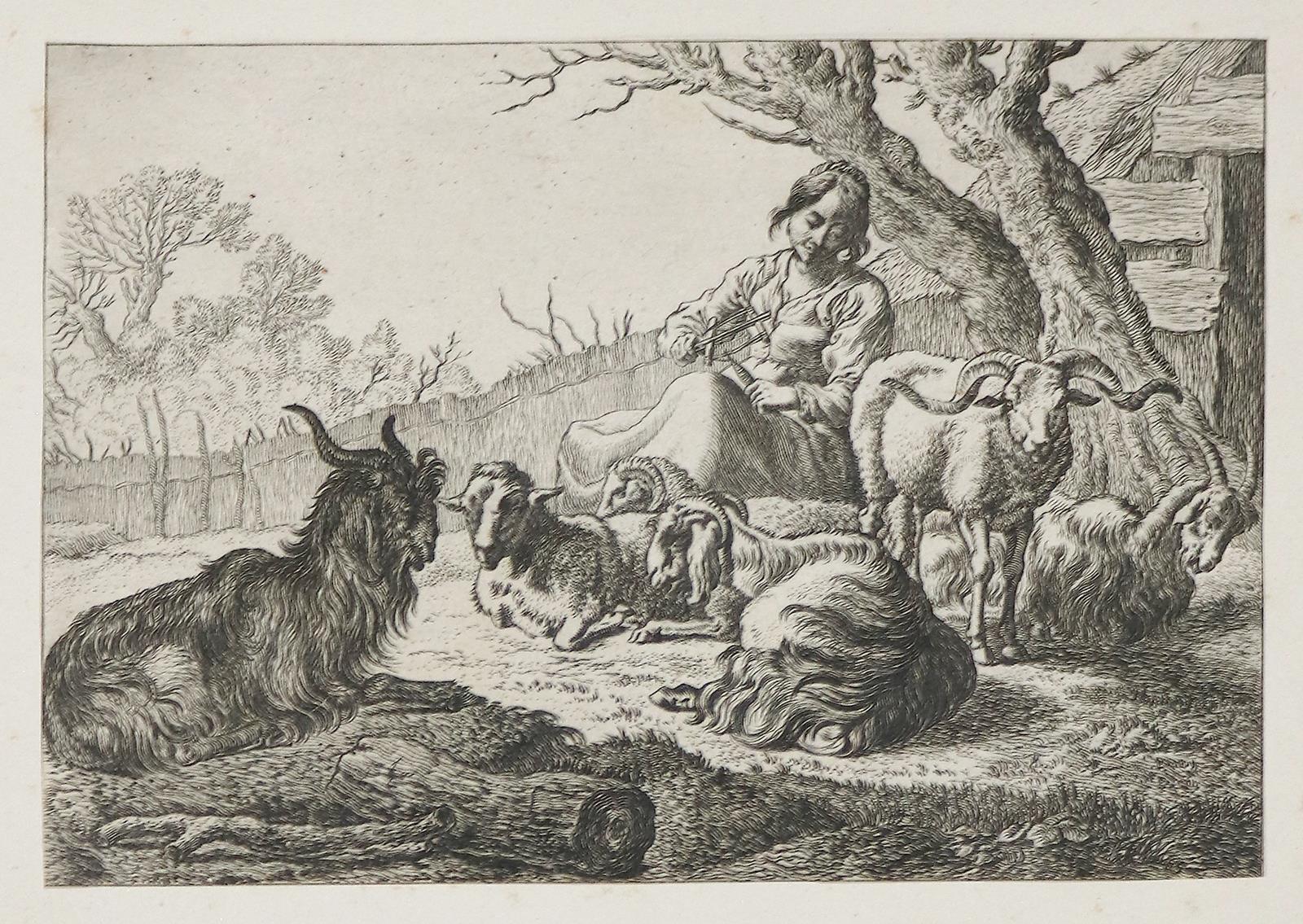 Laer, Pieter van | Bild Nr.1