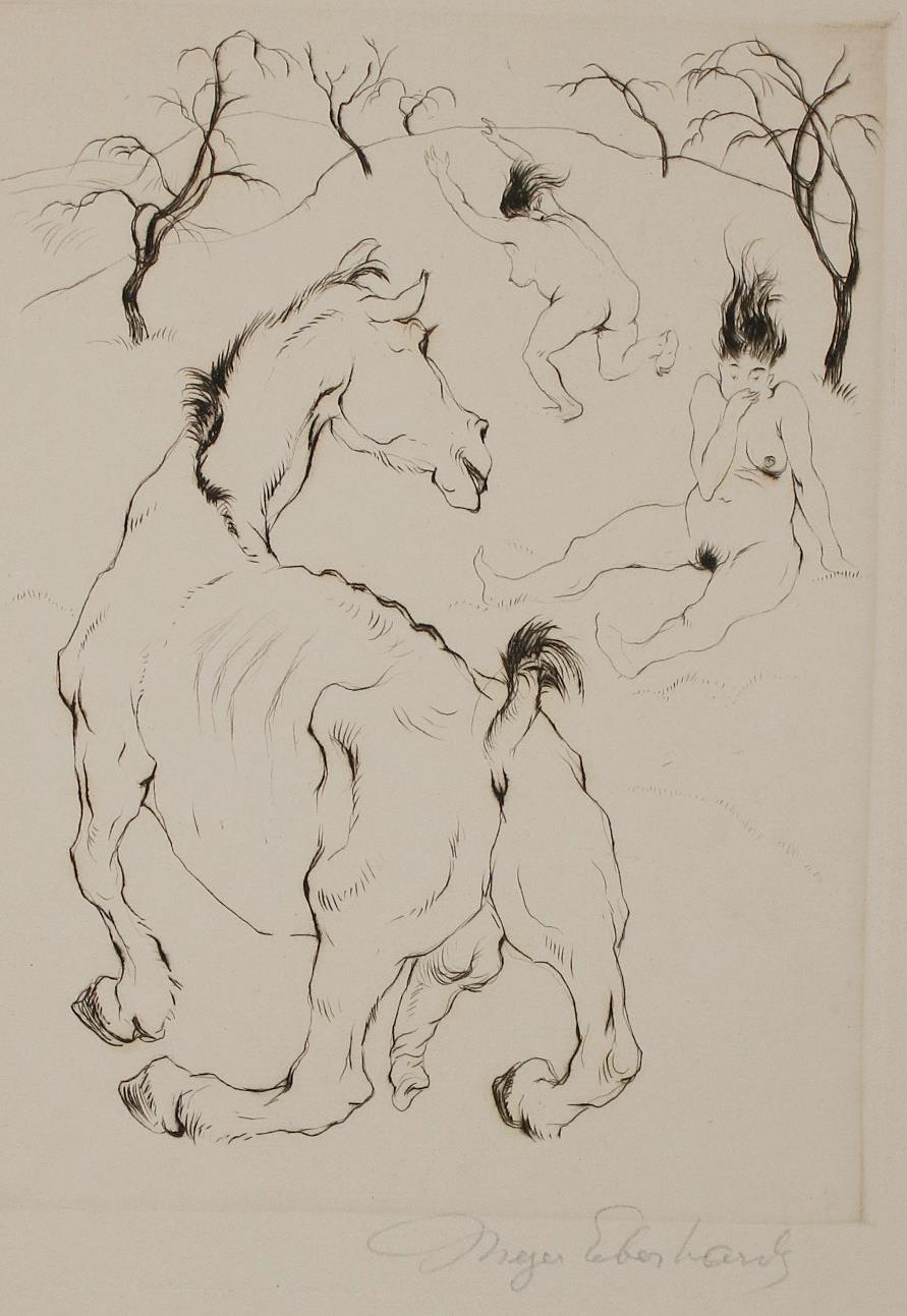 Meyer-Eberhardt, Curt | Bild Nr.1