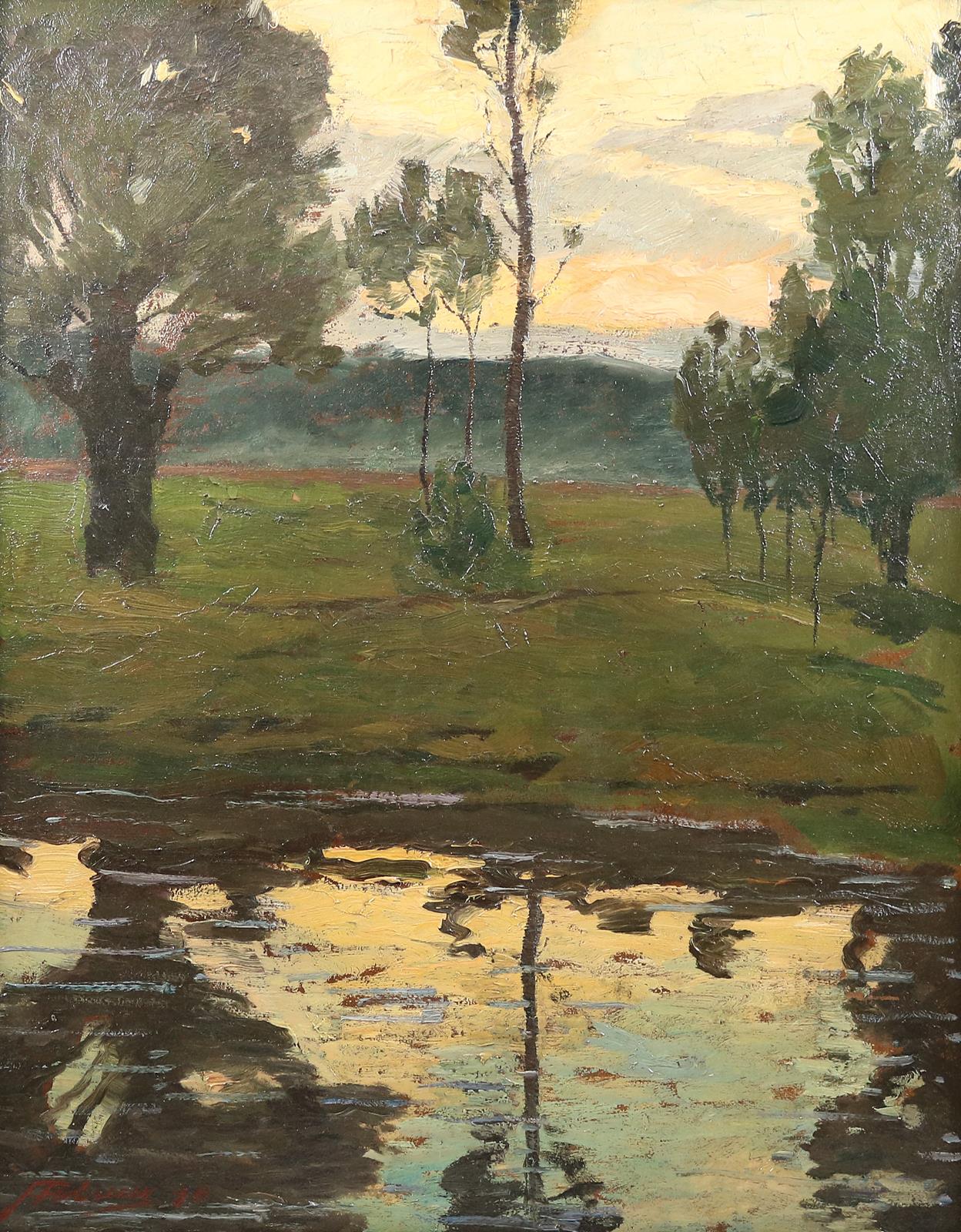 Pleuer, Hermann | Bild Nr.1