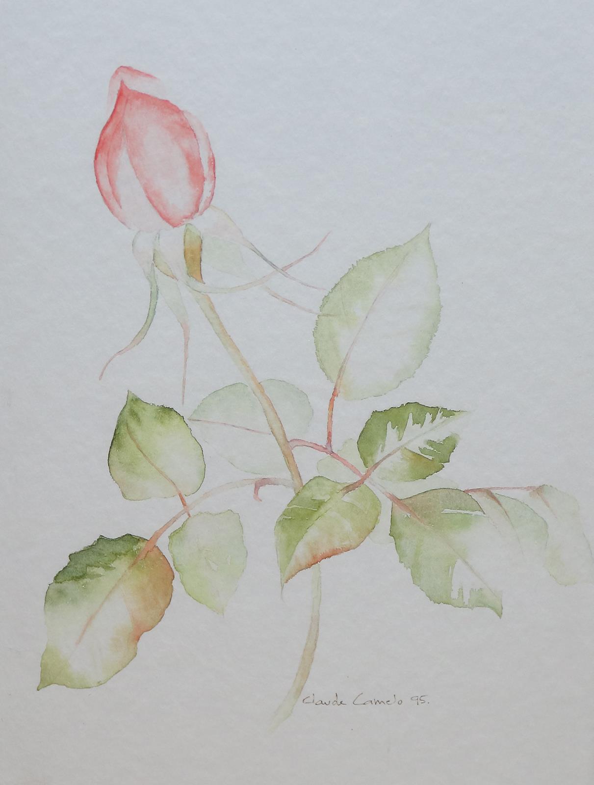 Pombo, Jorge Manuel | Bild Nr.2