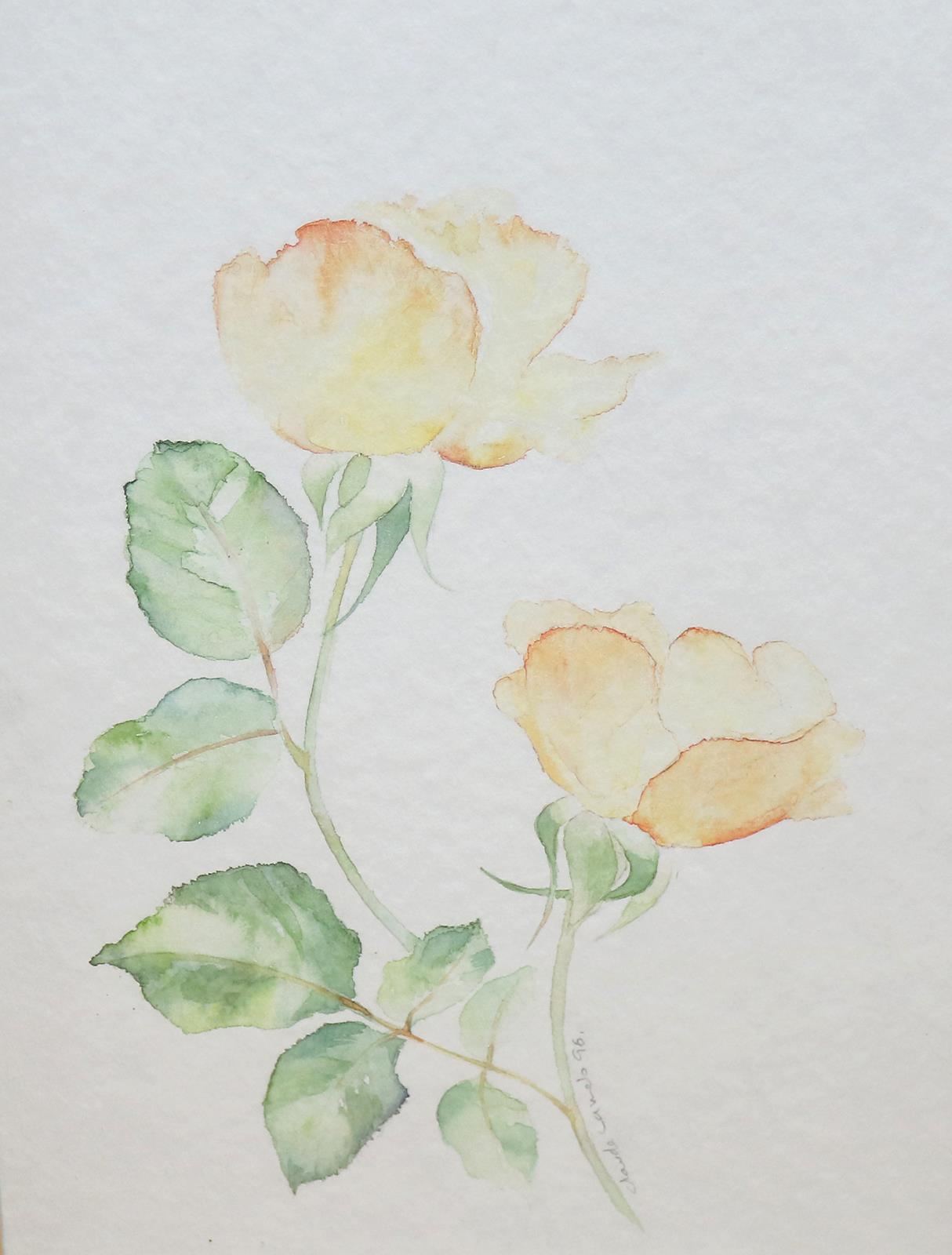 Pombo, Jorge Manuel | Bild Nr.3