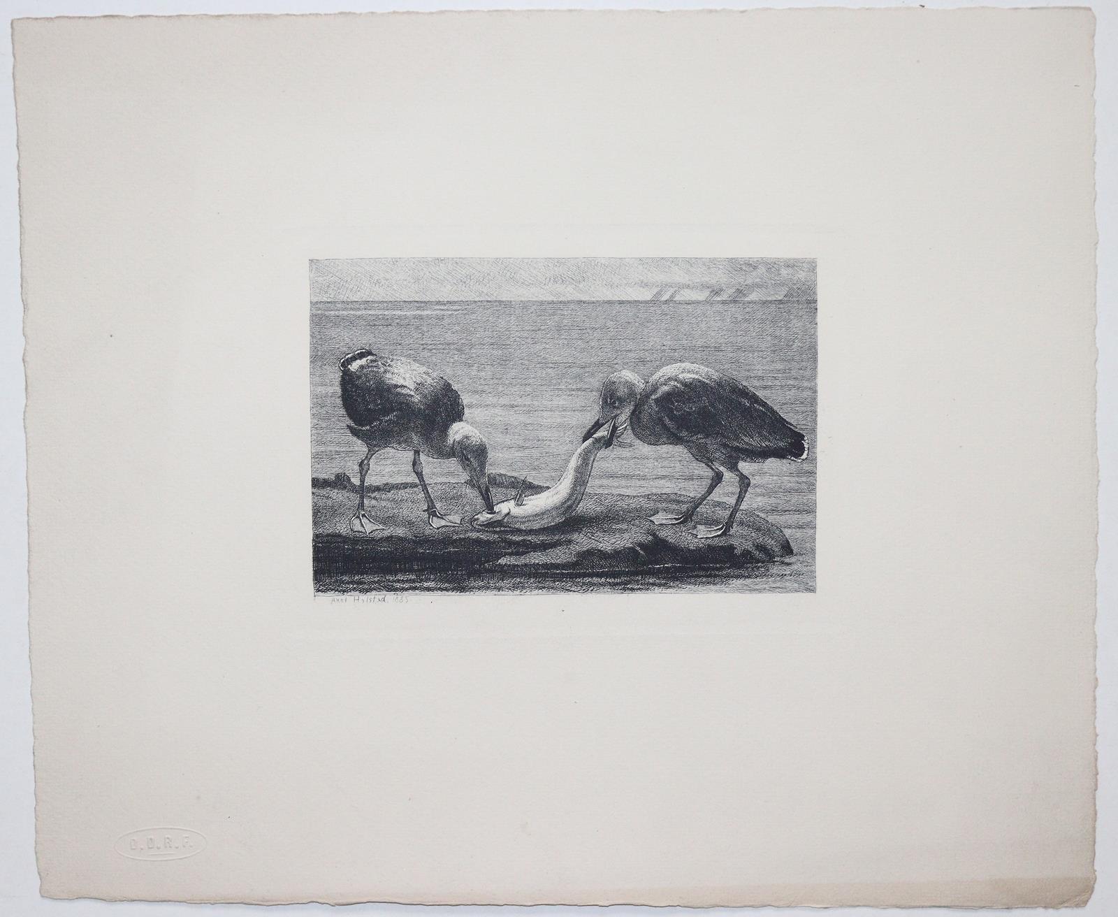 Sammlung | Bild Nr.23