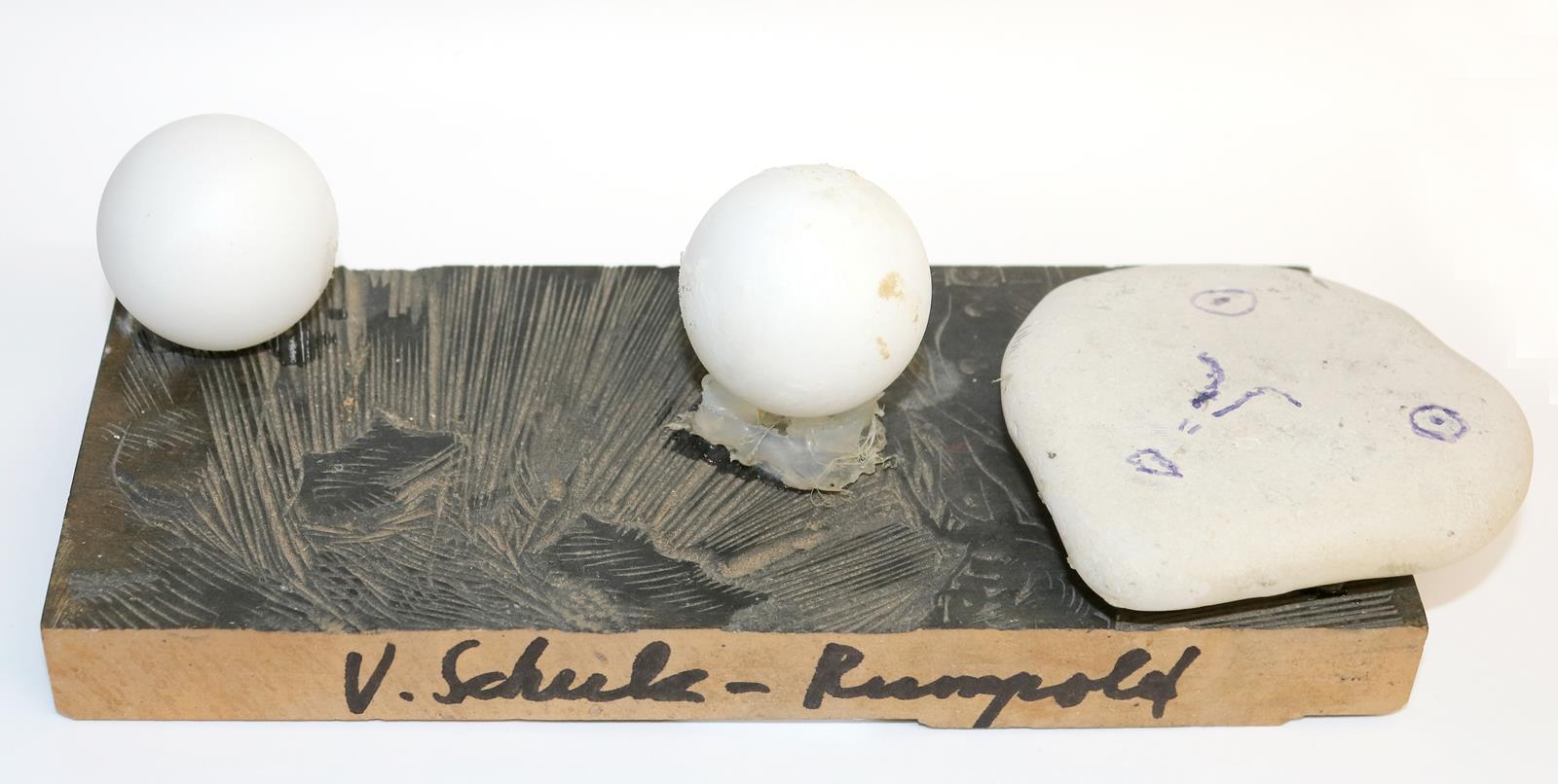 Schulz-Rumpold, Volkmar | Bild Nr.1