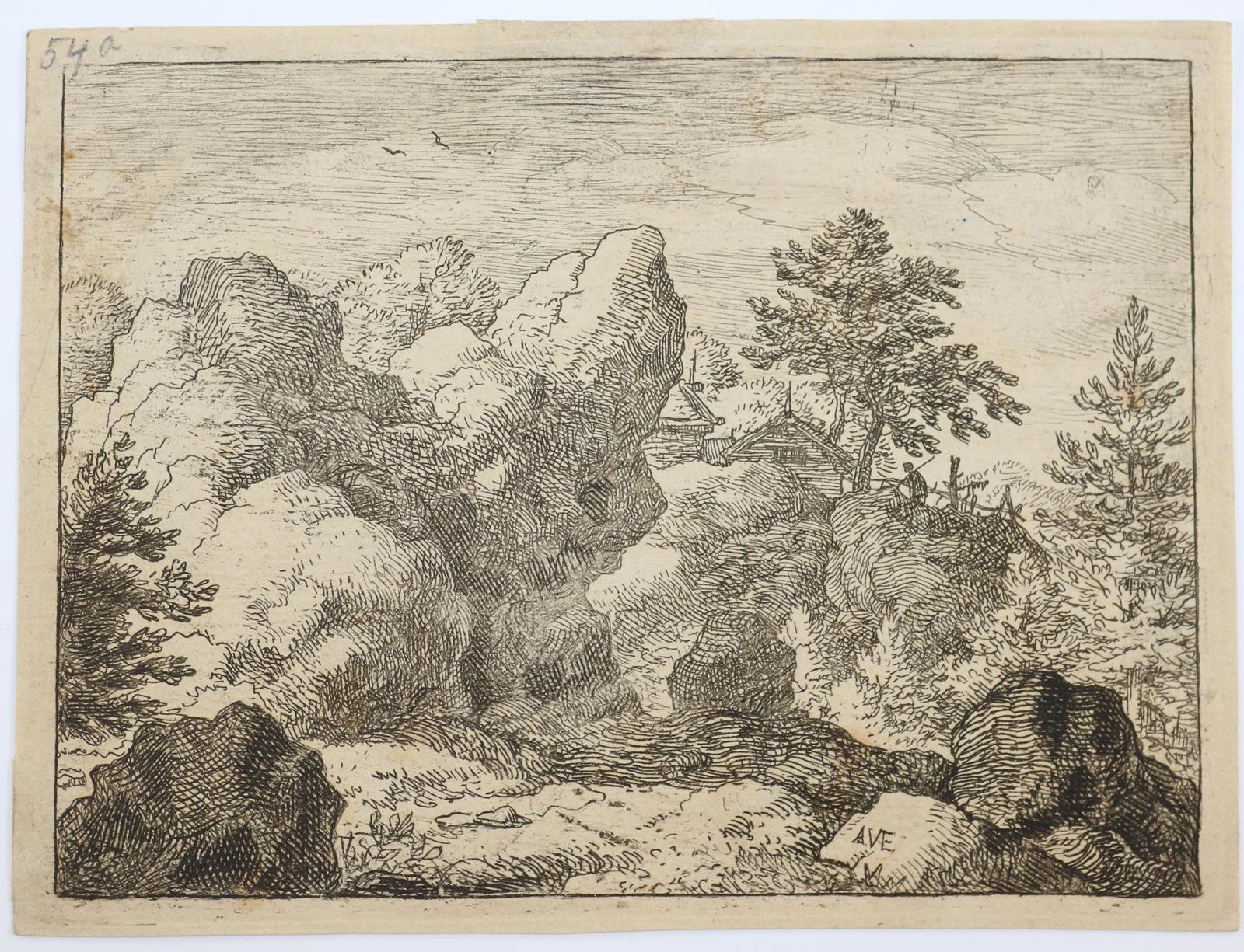 Tiere und Landschaften. | Bild Nr.2