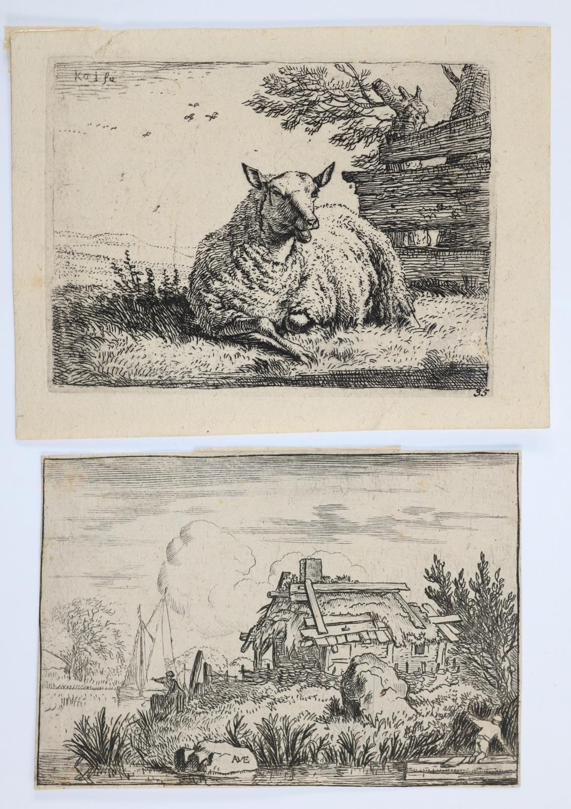 Tiere und Landschaften. | Bild Nr.6