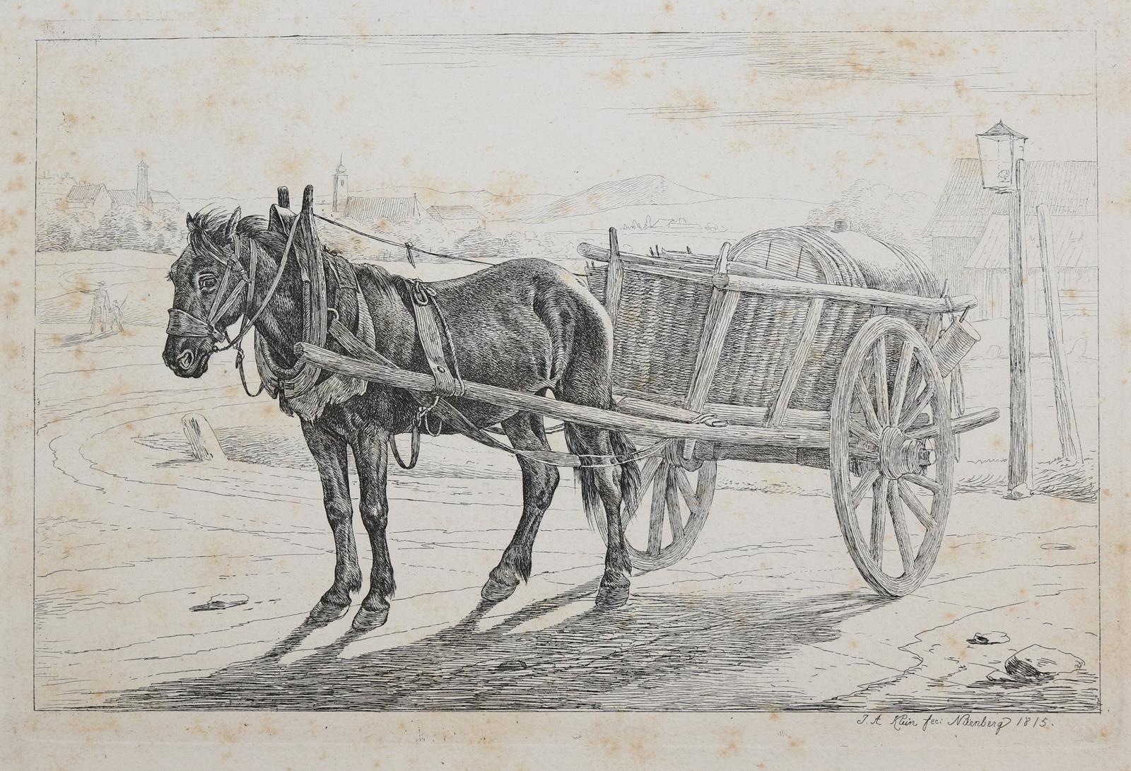 Tiere und Landschaften. | Bild Nr.15