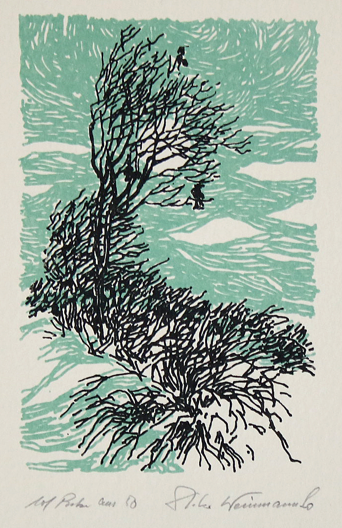 Weinmann, Dieter | Bild Nr.8