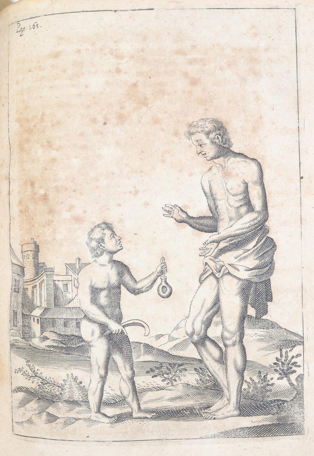 Bynaeus,A. | Bild Nr.2