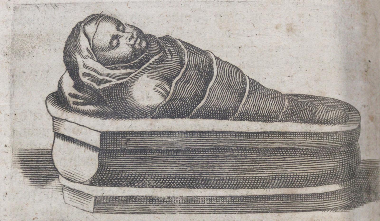 Bynaeus,A. | Bild Nr.4