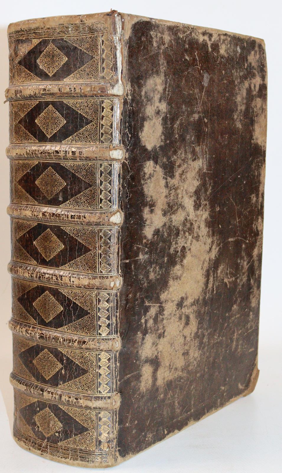 Florinus,F.P. | Bild Nr.6