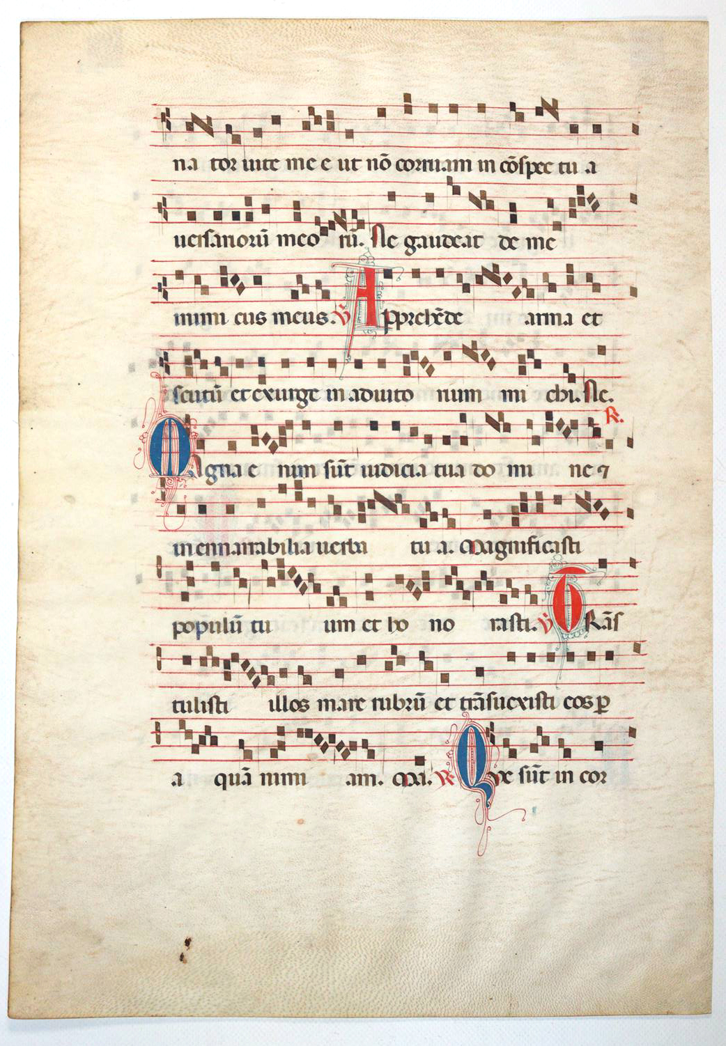 Antiphonar. | Bild Nr.1