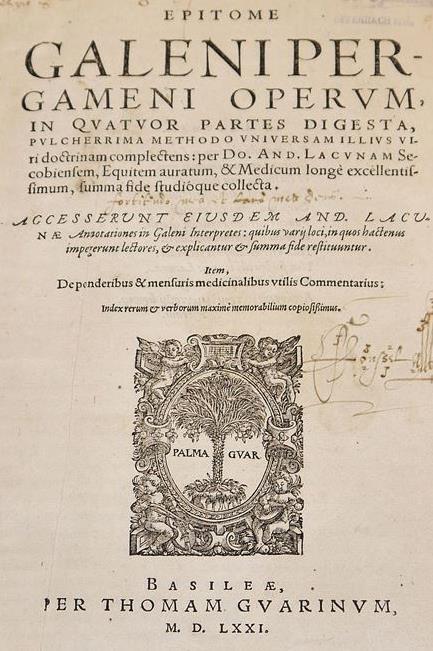 Lacuna,A. | Bild Nr.1