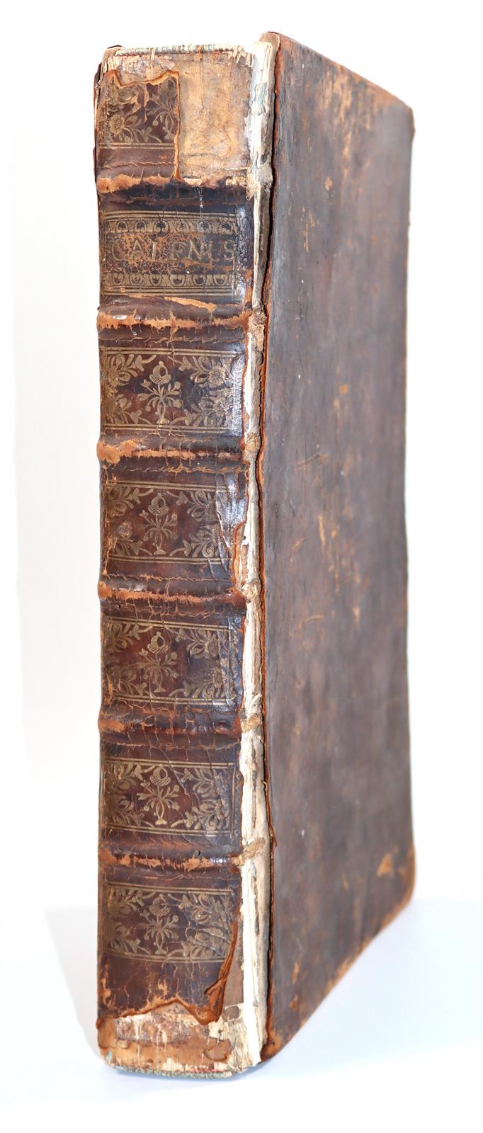 Lacuna,A. | Bild Nr.4