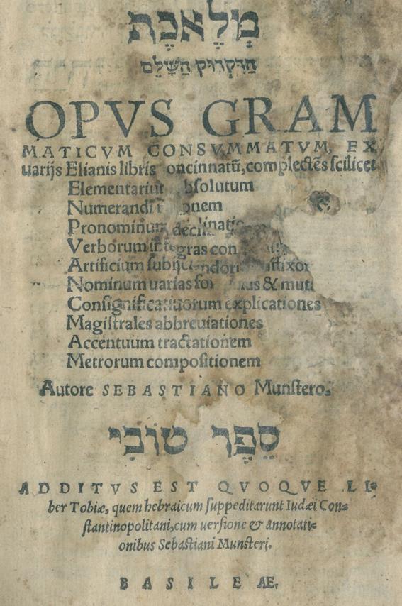 Münster,S. | Bild Nr.1