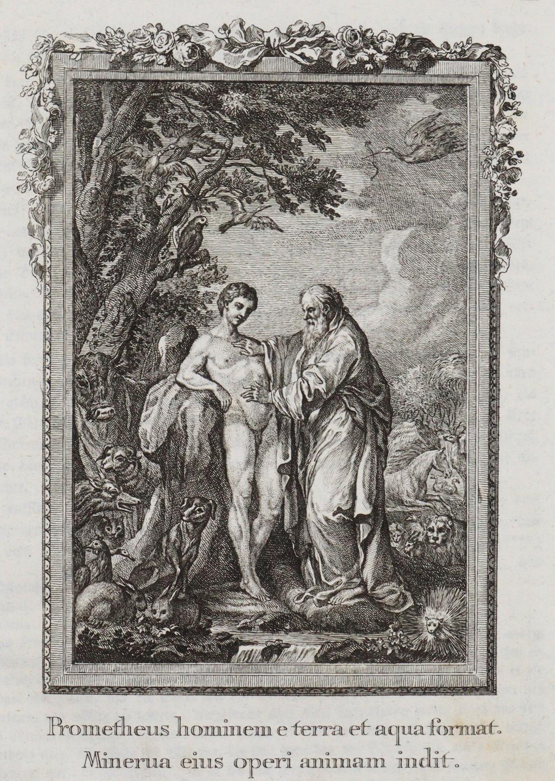 Ovidius,N.P. | Bild Nr.5