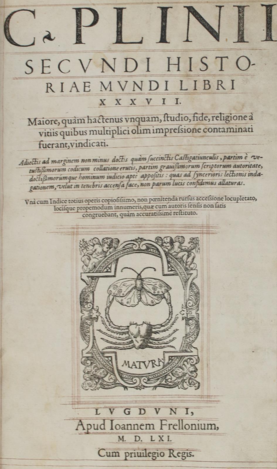 Plinius,C.C.S. | Bild Nr.1