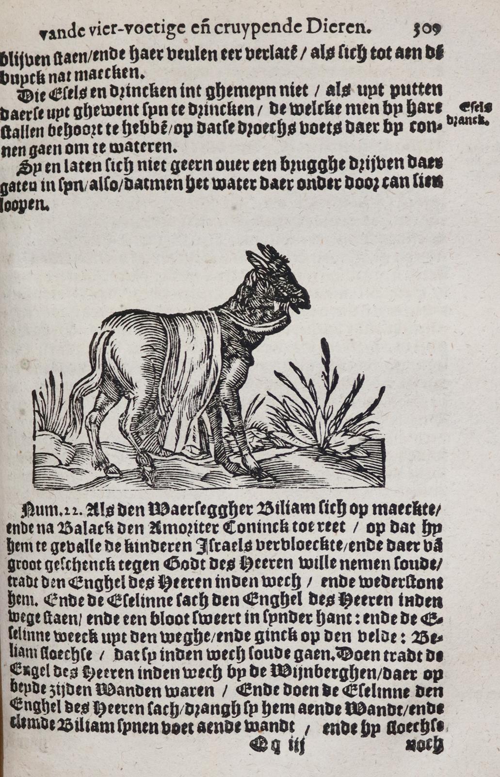 Plinius Secundus,G. | Bild Nr.5