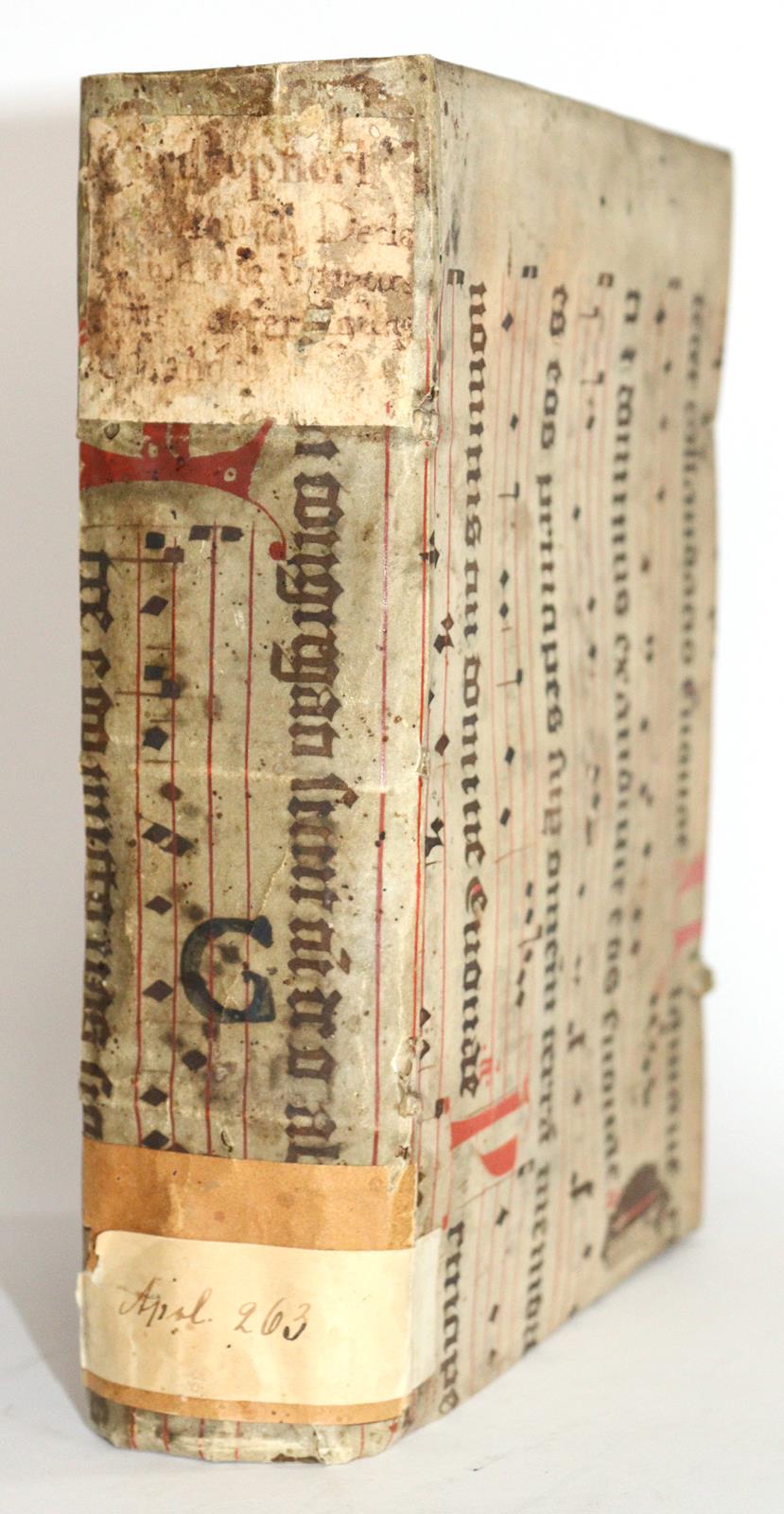 Rosenbusch,C. | Bild Nr.3